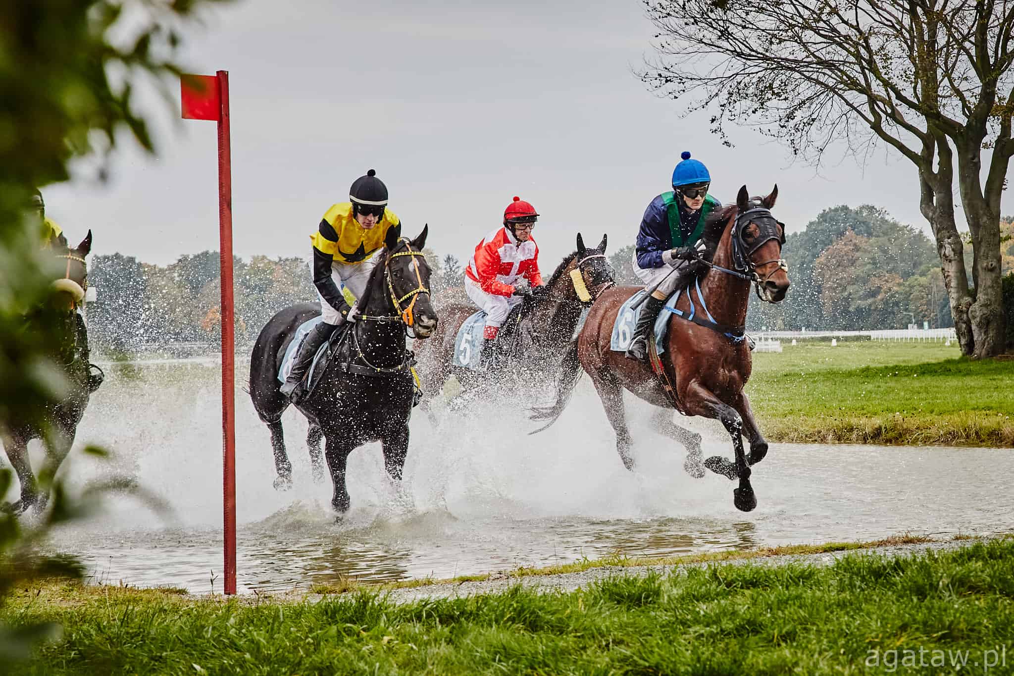 img: Haad Rin wraca do gry – celem Wielka Wrocławska