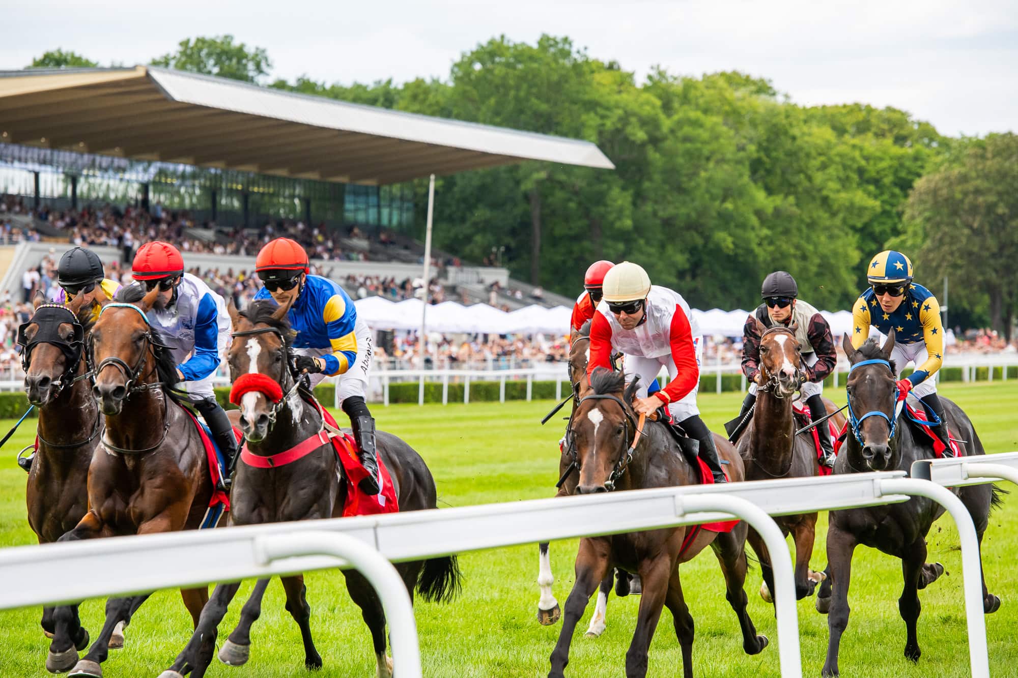 img: Kaneshya wygrywa we Francji