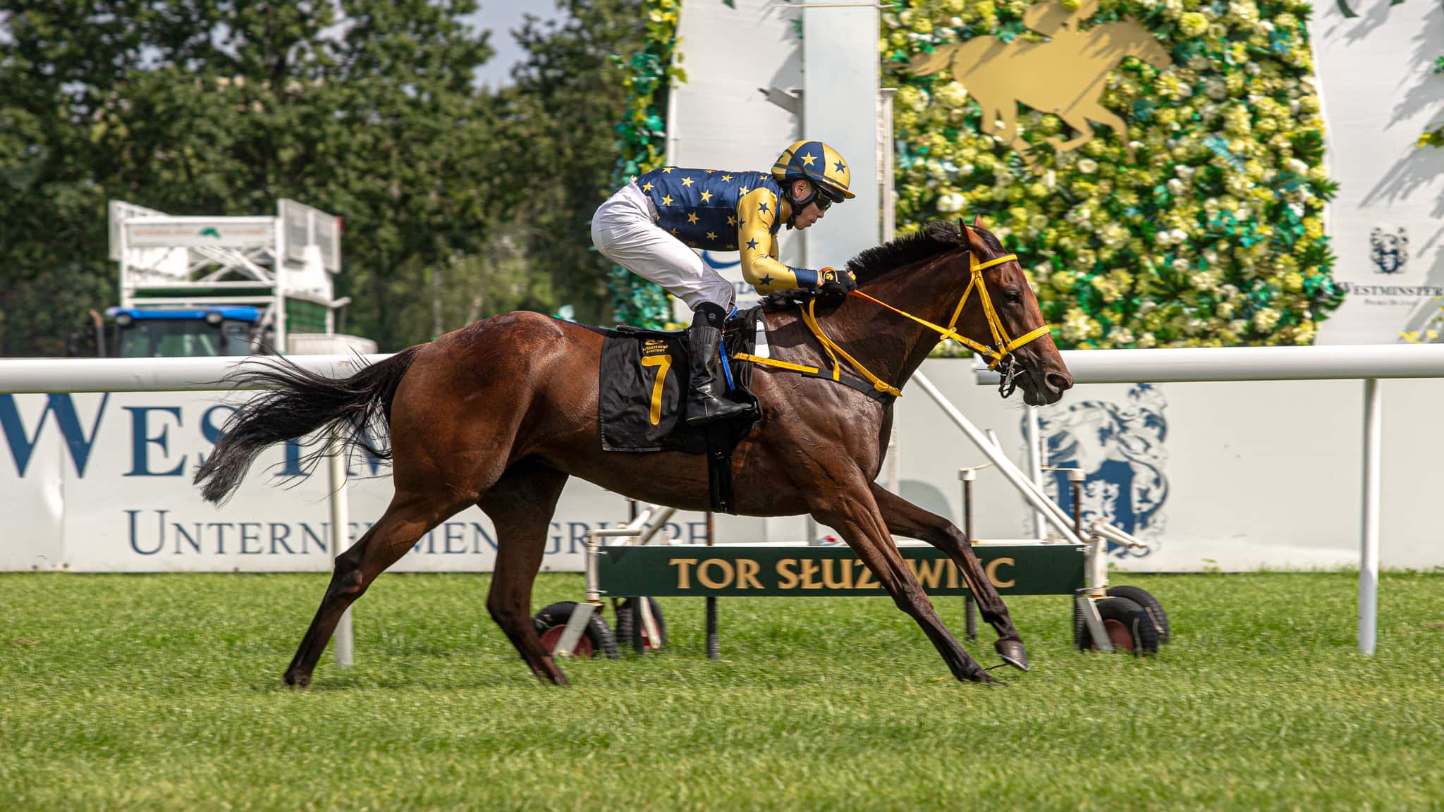 img: Niedziela na Służewcu: trójka z Partynic i Nagroda Cometa