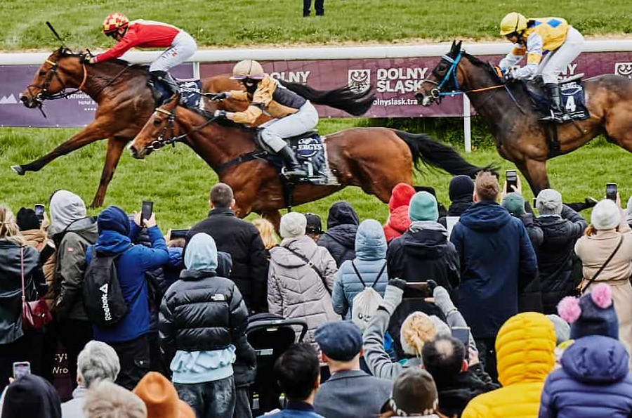 img: Dwa konie, dwa zwycięstwa