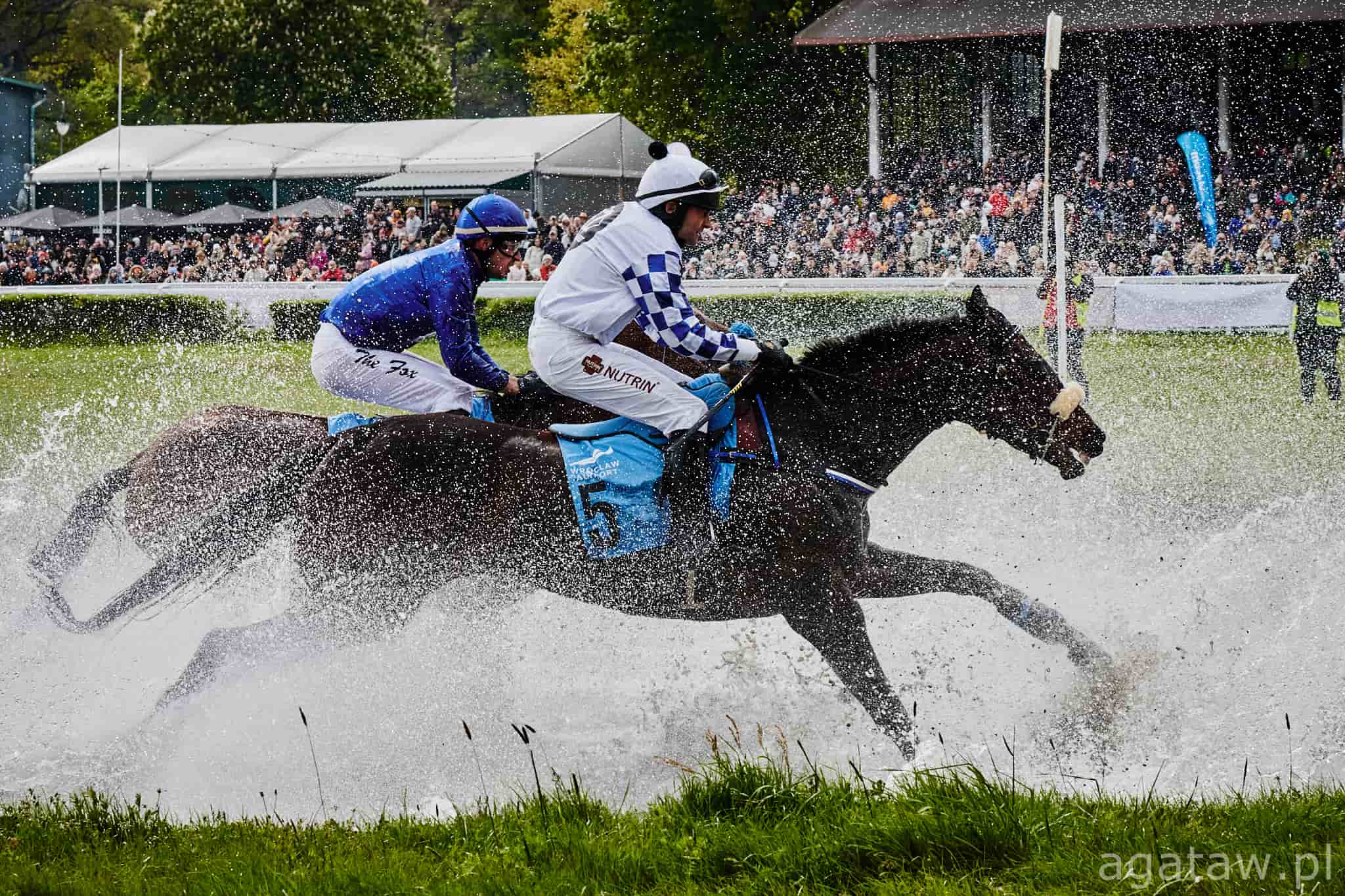 img: Nagroda Tiumena: Rewanż za Nagrodę Otwarcia
