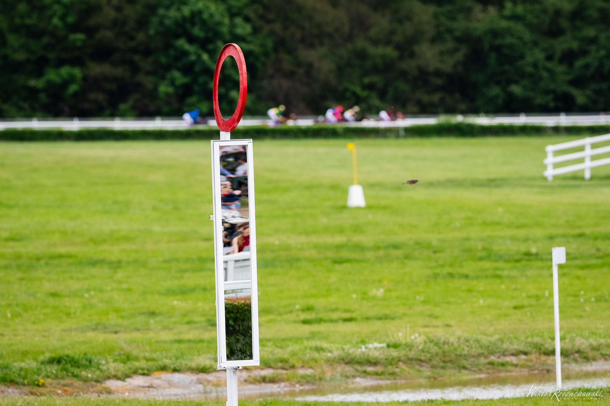 img: Służewiecka niedziela z partynickimi końmi