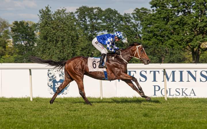 img: Nagrody Rulera i Wiosenna dla faworytów