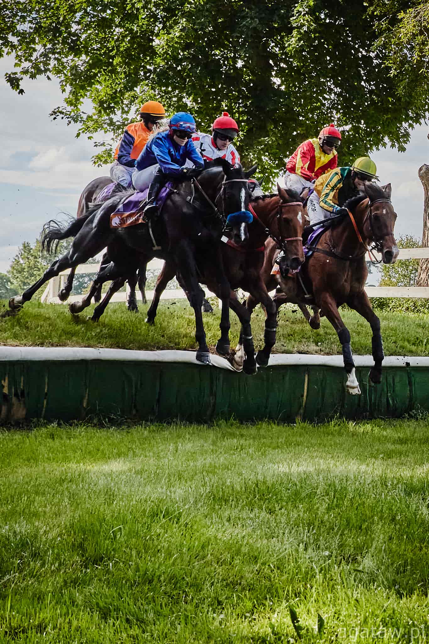 img: Pretty King wygrał Svenskt Grand National