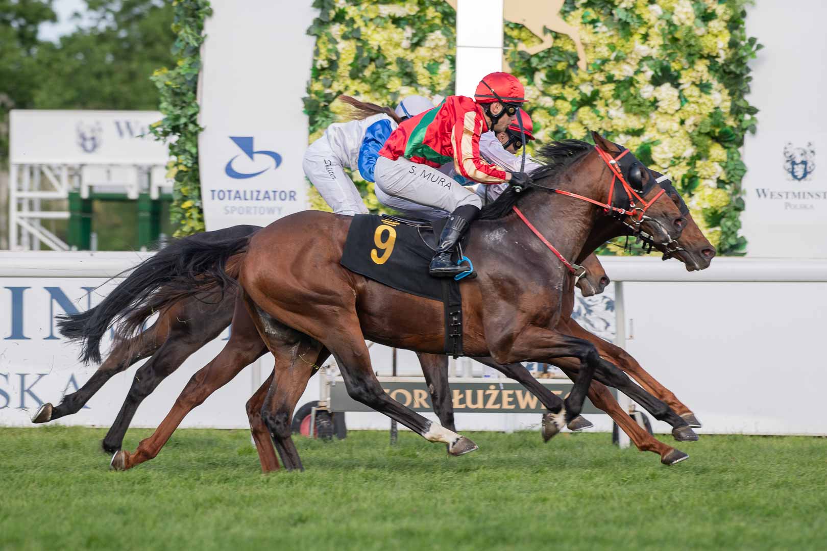 img: Partynicki Lay Low w Nagrodzie Green Maestro