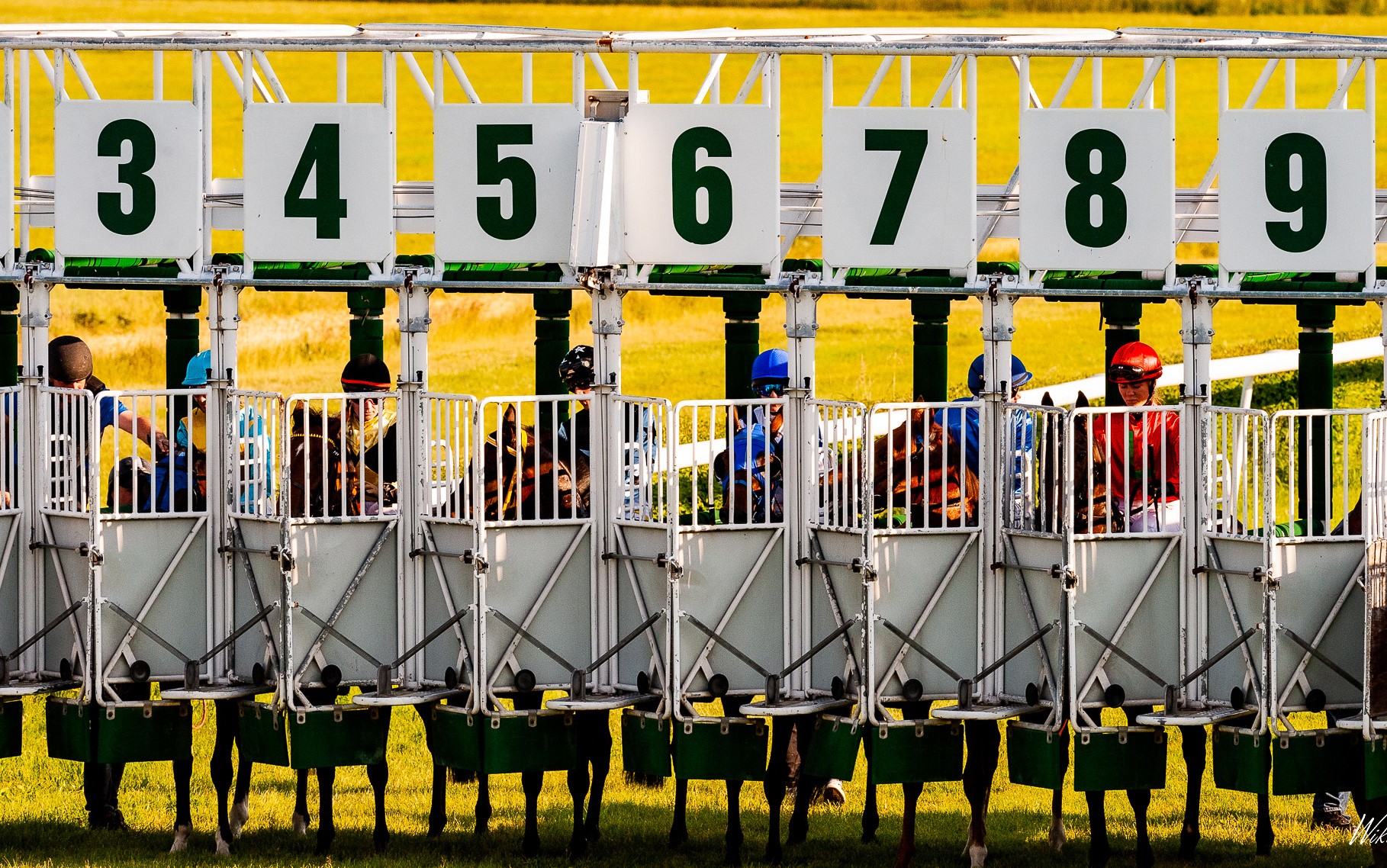 img: Belmont Stakes: Faworytem – Sierra Leone, drugi w Kentucky Derby