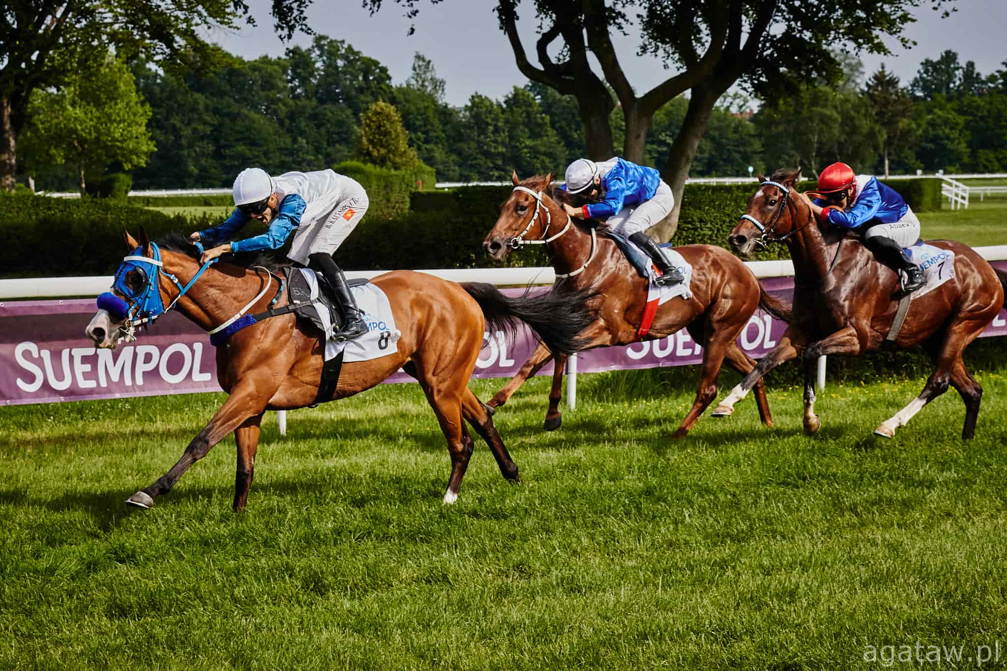 img: Gala Derby z partynicką reprezentacją