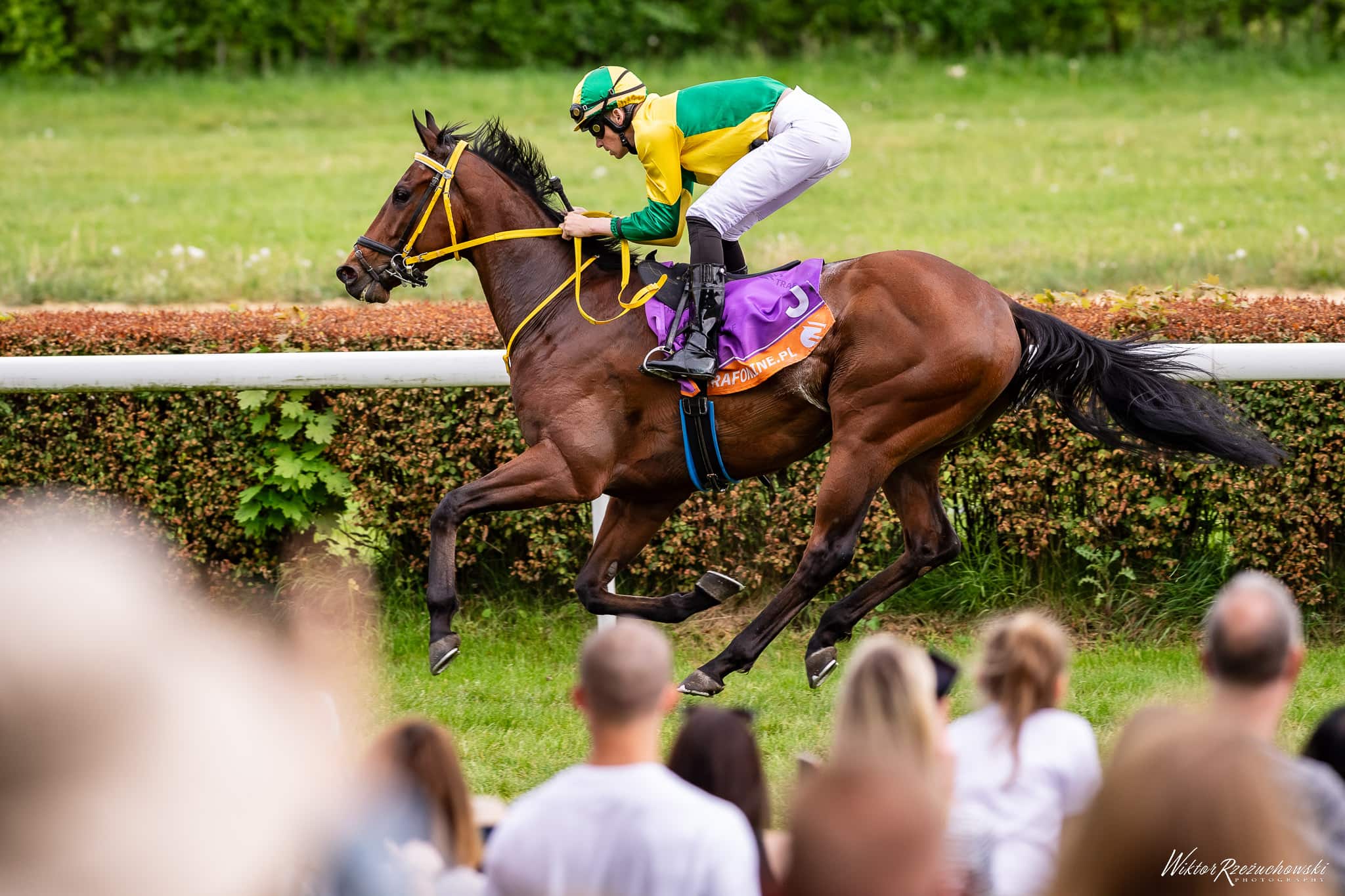 img: Sopot: W sobotę powalczą Akurat i młode araby