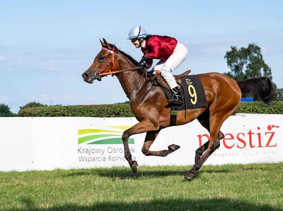 img: Zwycięstwo stuprocentowej faworytki z Partynic