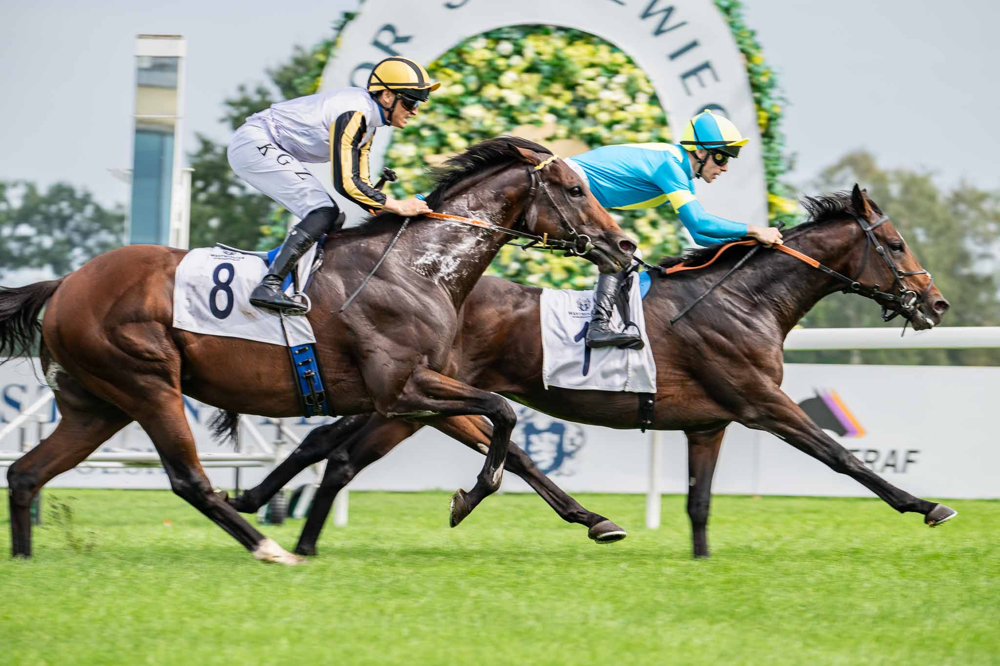 img: Faworyt Bremen najlepszy w Westminster Freundschaftspreis