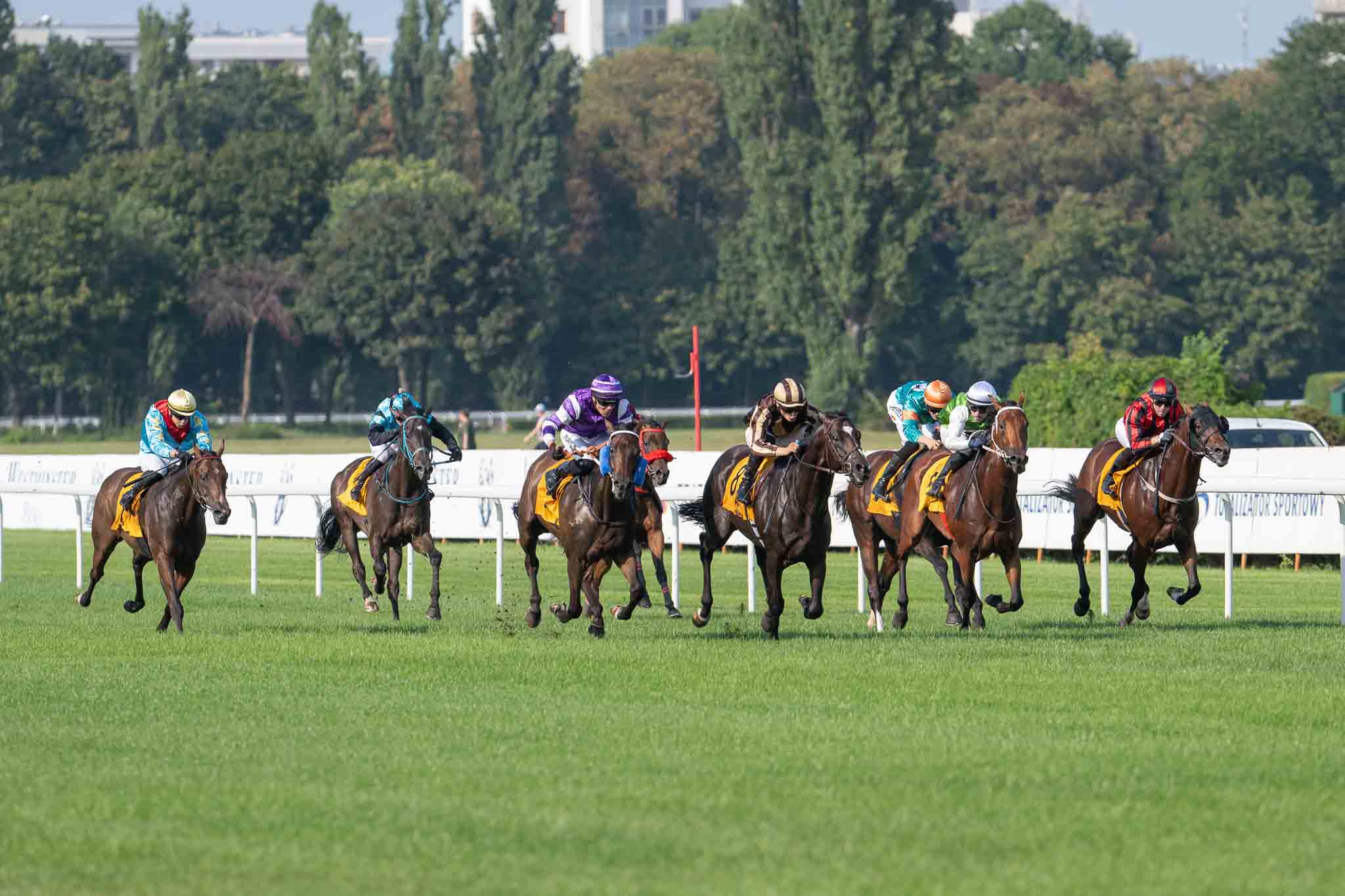 img: Freak Out drugi w Nagrodzie Pink Pearla