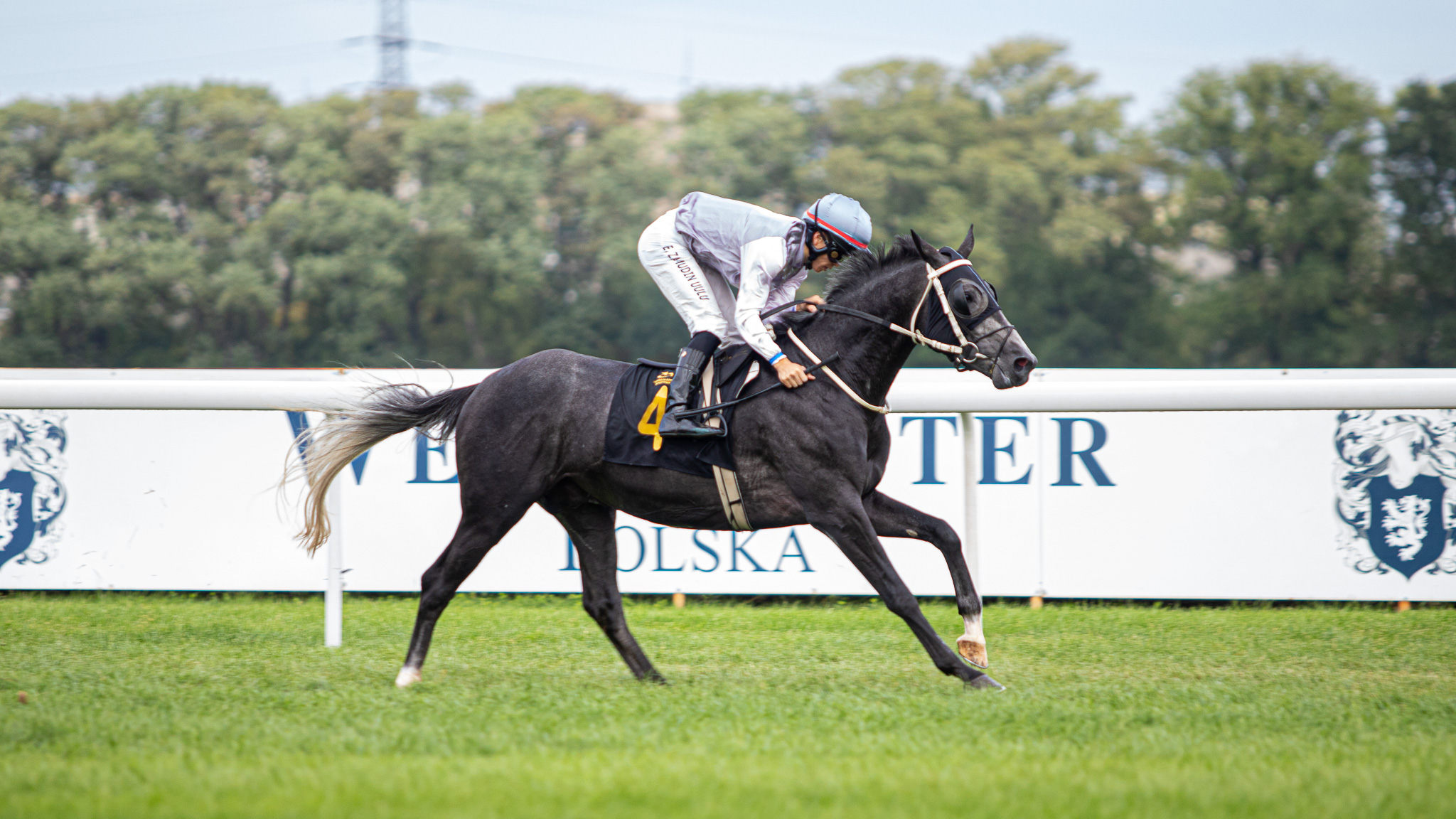 img: Wygrana Logmana Muscata, niespodzianka w Oaks