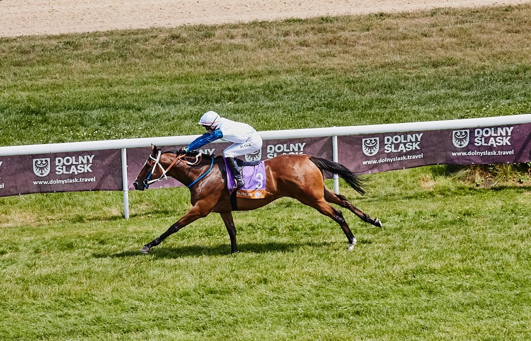 img: Westminster Freundschaftspreis: Master Westminster z Partynic spotka się z synem Galileo