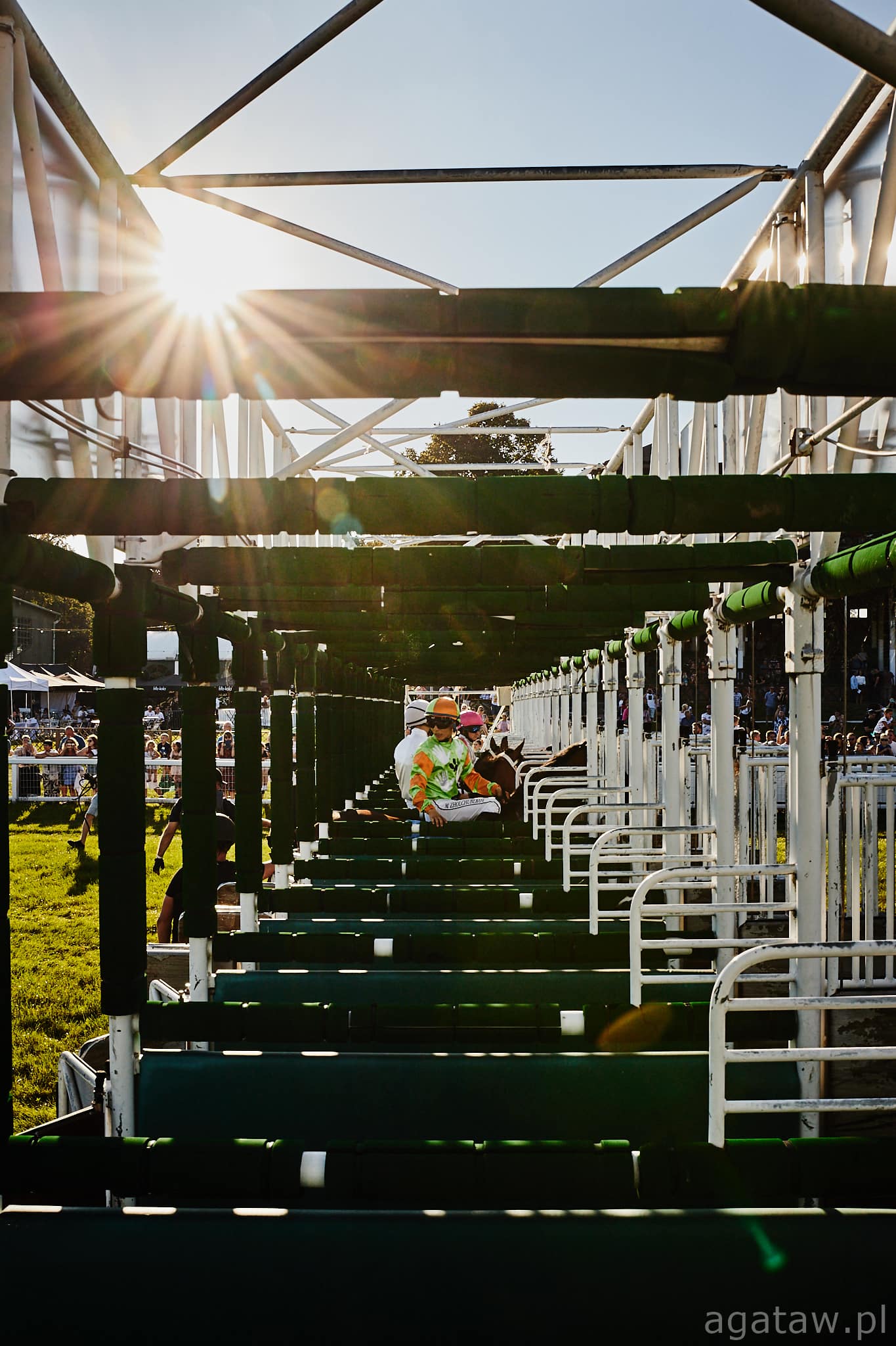 img: Shergar Cup dla pań