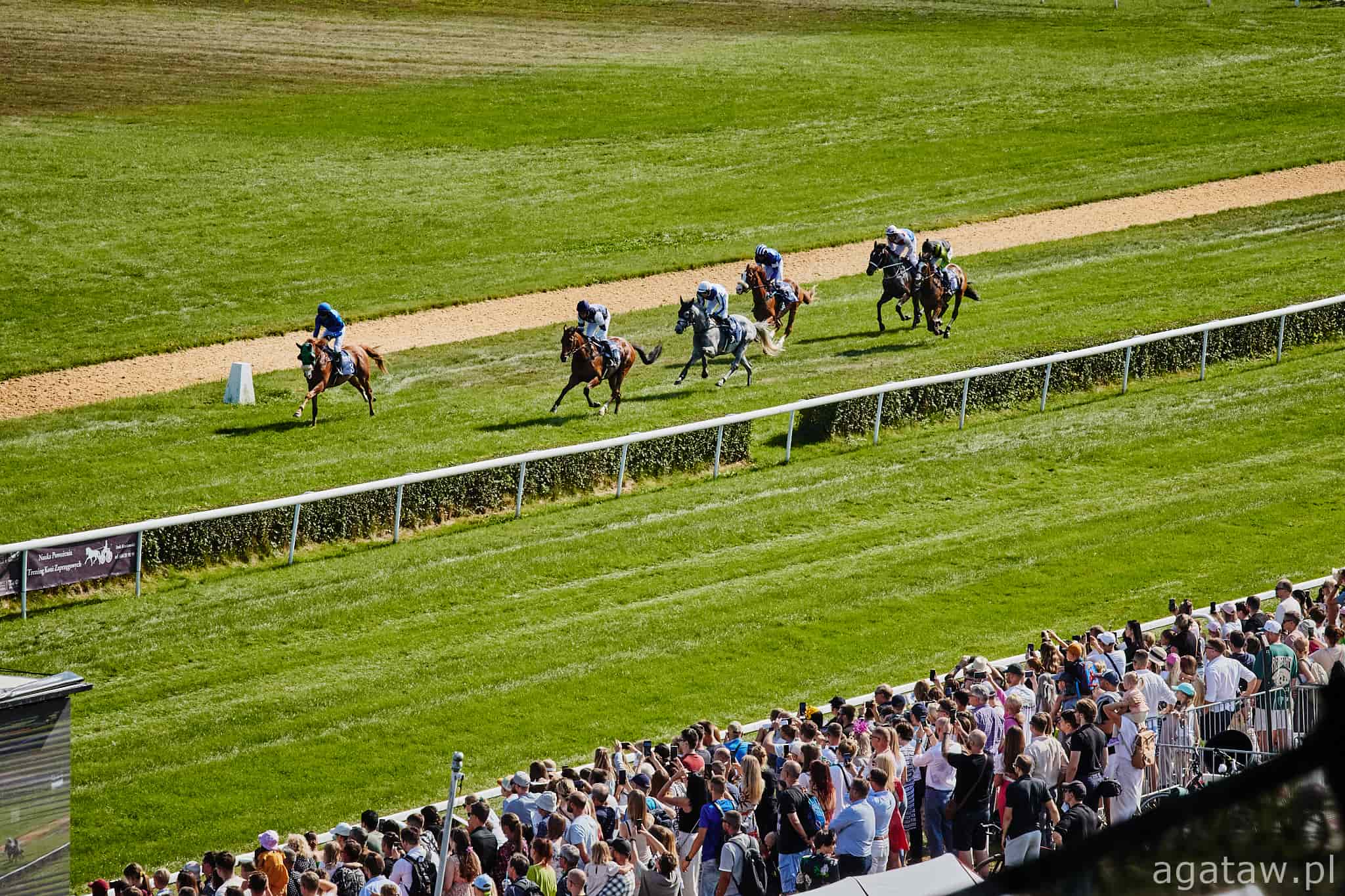 img: Kwartet na służewieckie wyścigi