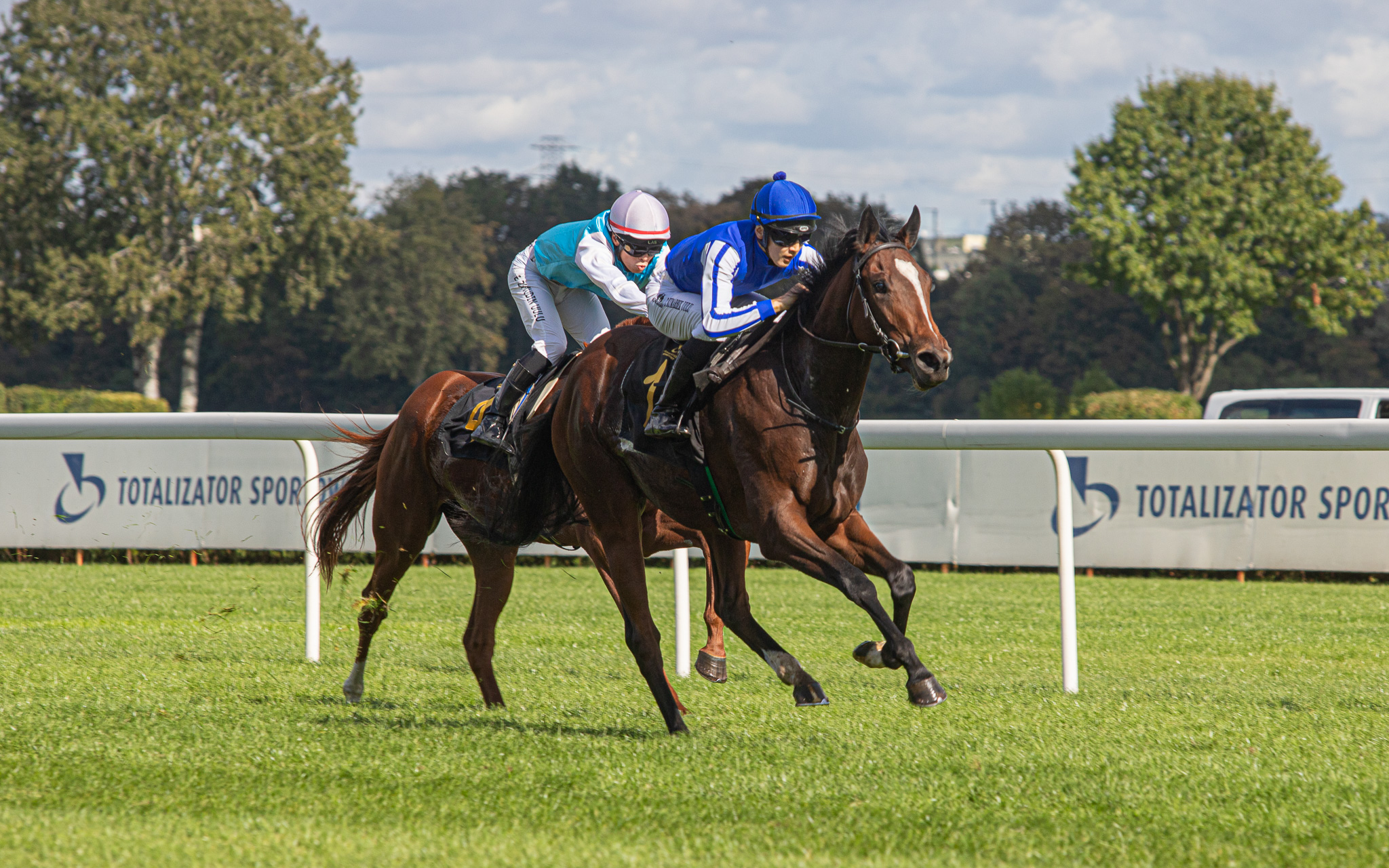 img: Drugie miejsca Bazuki i Akurata