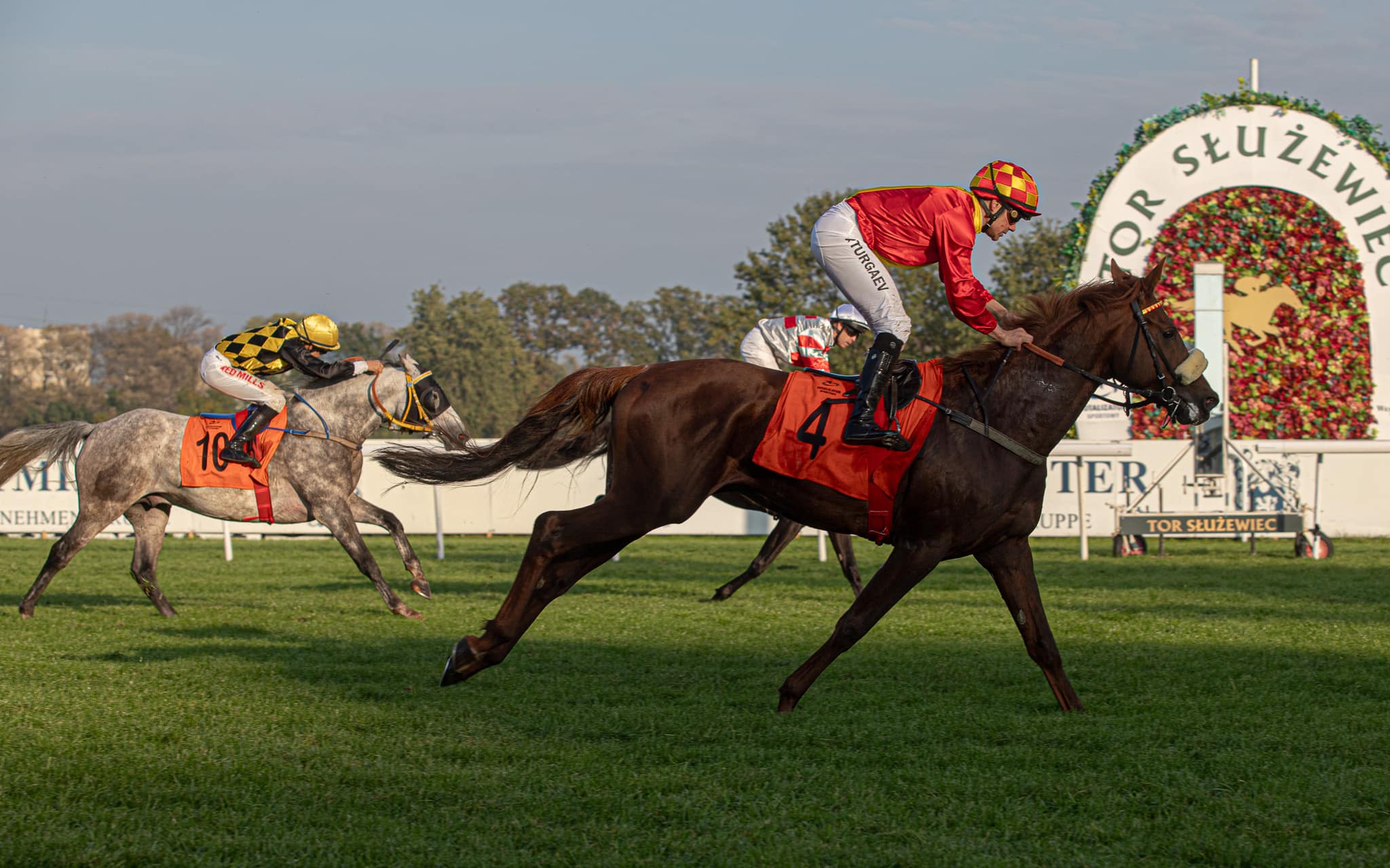 img: Partynickie araby z szansami w ważnych gonitwach na Służewcu