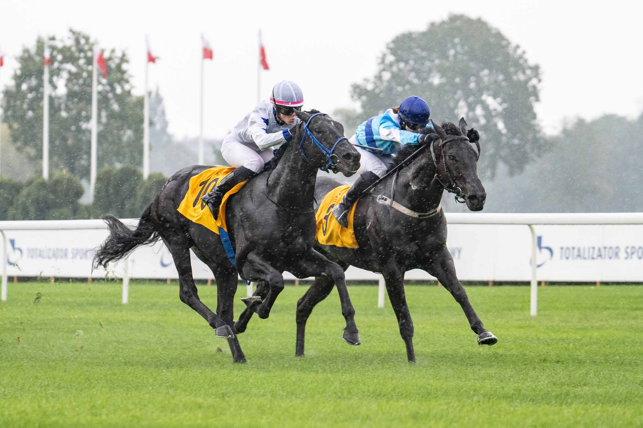 img: Intuitive z Partynic czwarty w gonitwie dnia na Służewcu