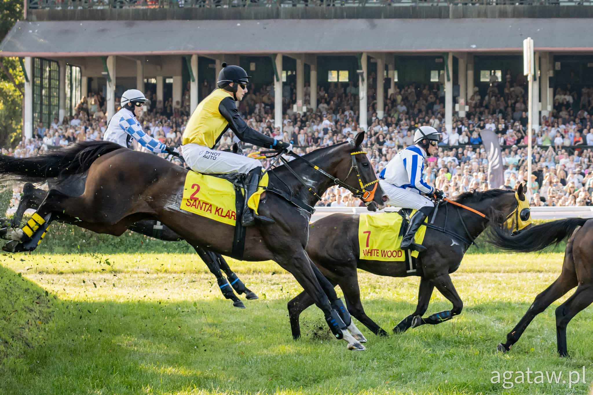 img: Wielką Wrocławską wygrała Santa Klara