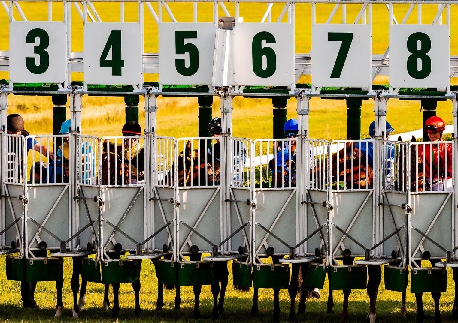 img: Weekend wyścigowych emocji na najwyższym poziomie