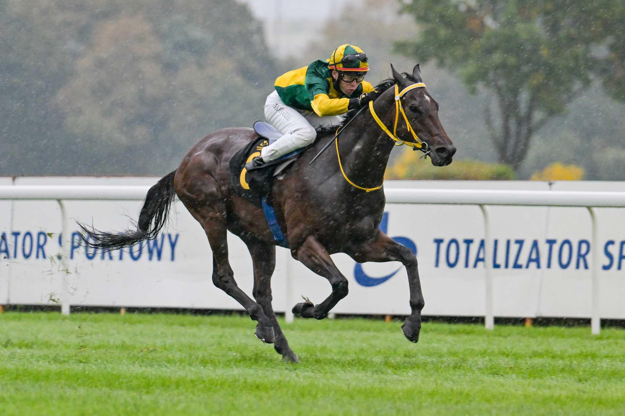 img: Akurat z miejsca do miejsca