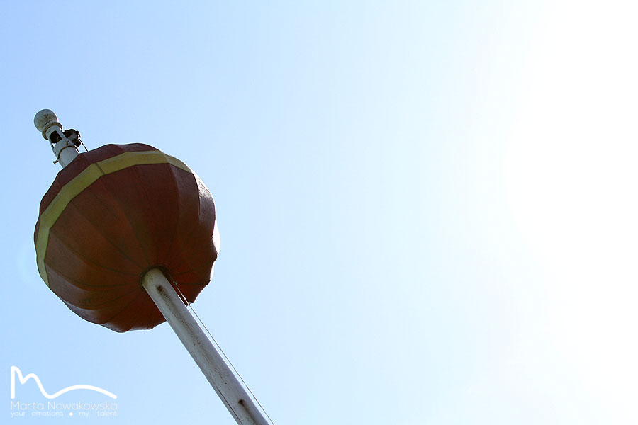 img: Czy City Of Troy da Aidanowi O’Brienowi upragnione zwycięstwo w BC Classic?