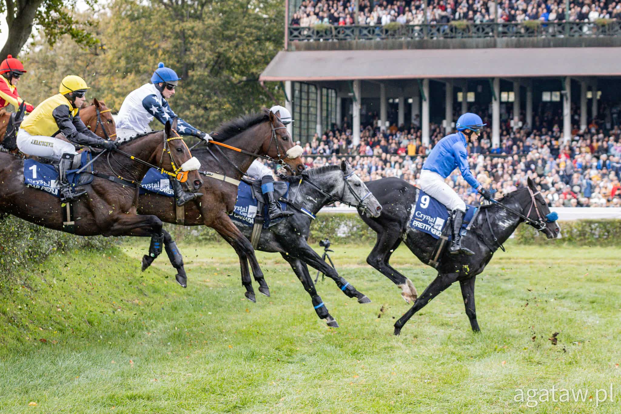 img: Kryształowy Puchar dla faworyta – Gap Pierji i Jan Kratochvil zwycięzcami Crystal Cup