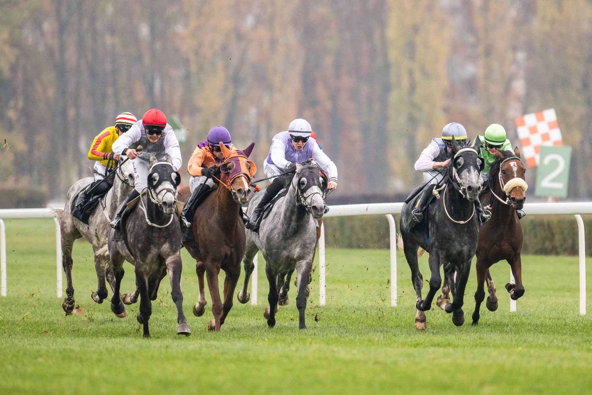 img: Muhimin Muscat nie zwiódł jako faworyt