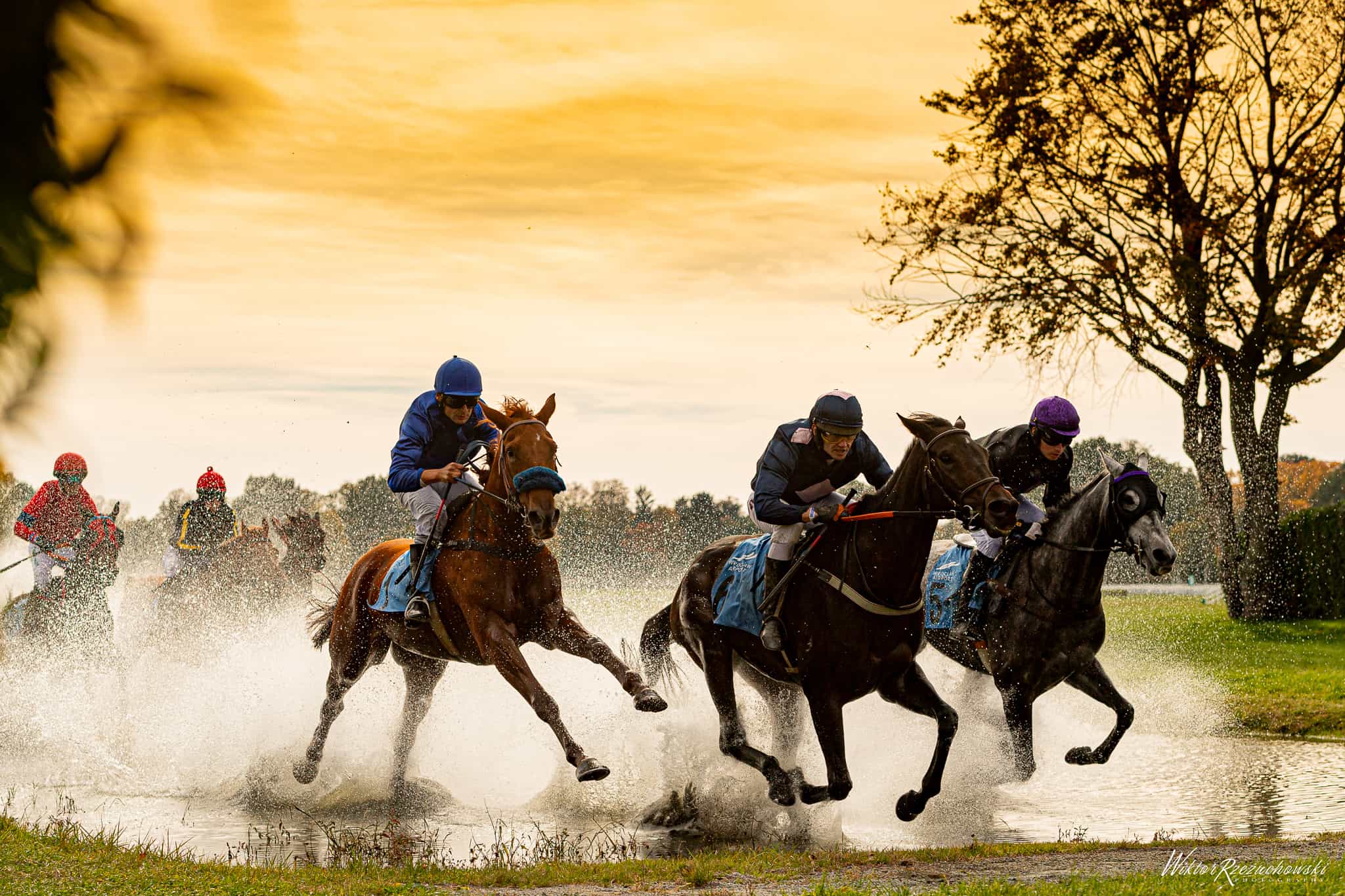img: Dziewięć gonitw na zakończenie sezonu