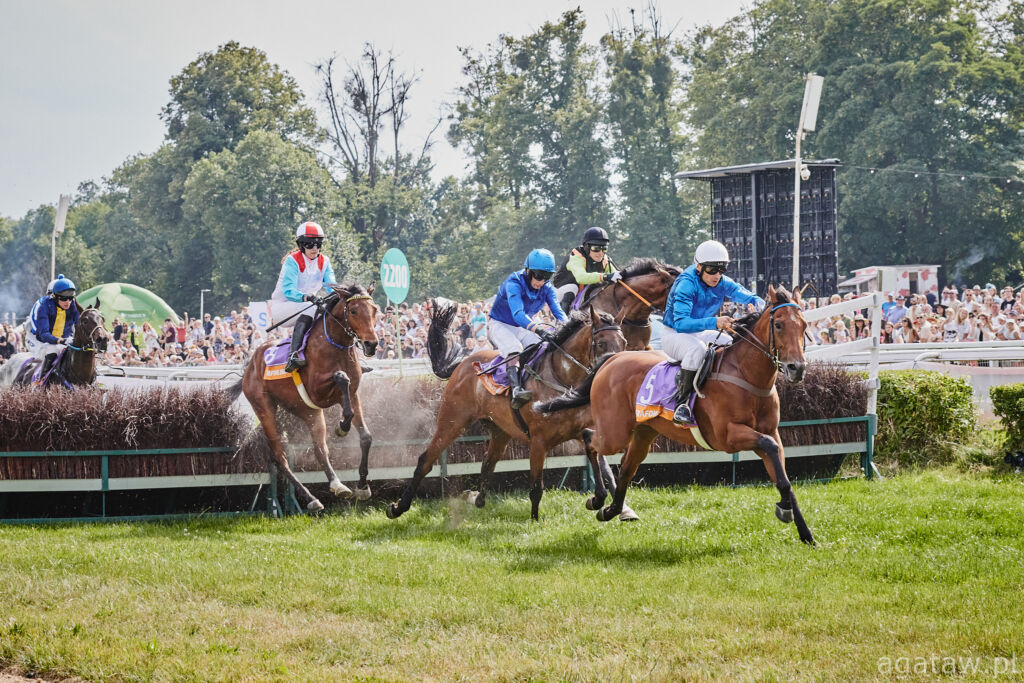 Konie w pełnym galopie pokonują przeszkodę płotową. W tle tłumy i telebim. Dynamiczne zdjęcie pełne soczystej, wiosennej zieleni.