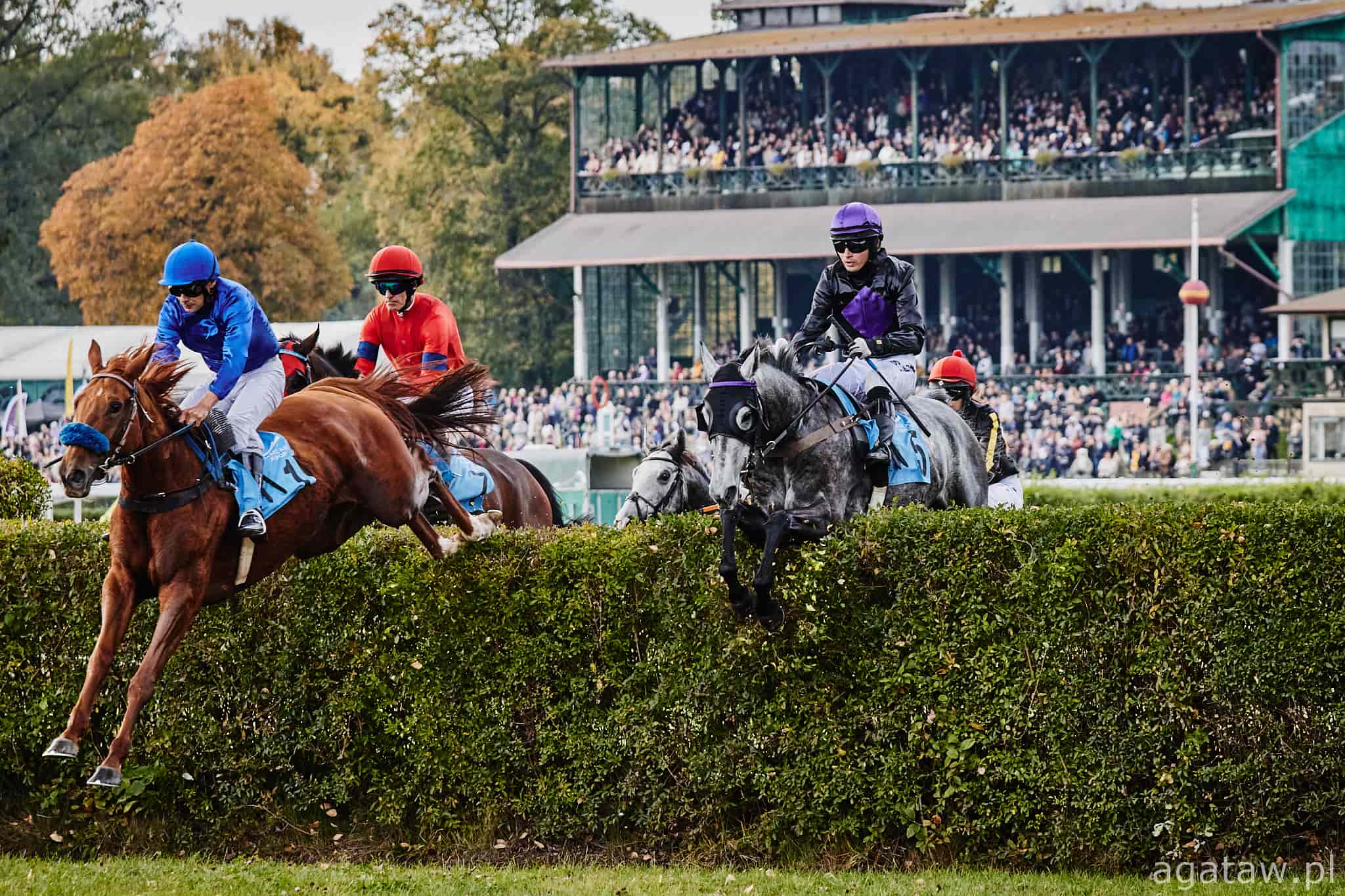 img: Plan Gonitw 2025: Otwarcie sezonu wyścigowego – 1 maja