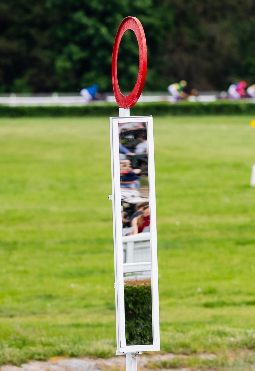 img: Pegasus World Cup z wielkimi gwiazdami