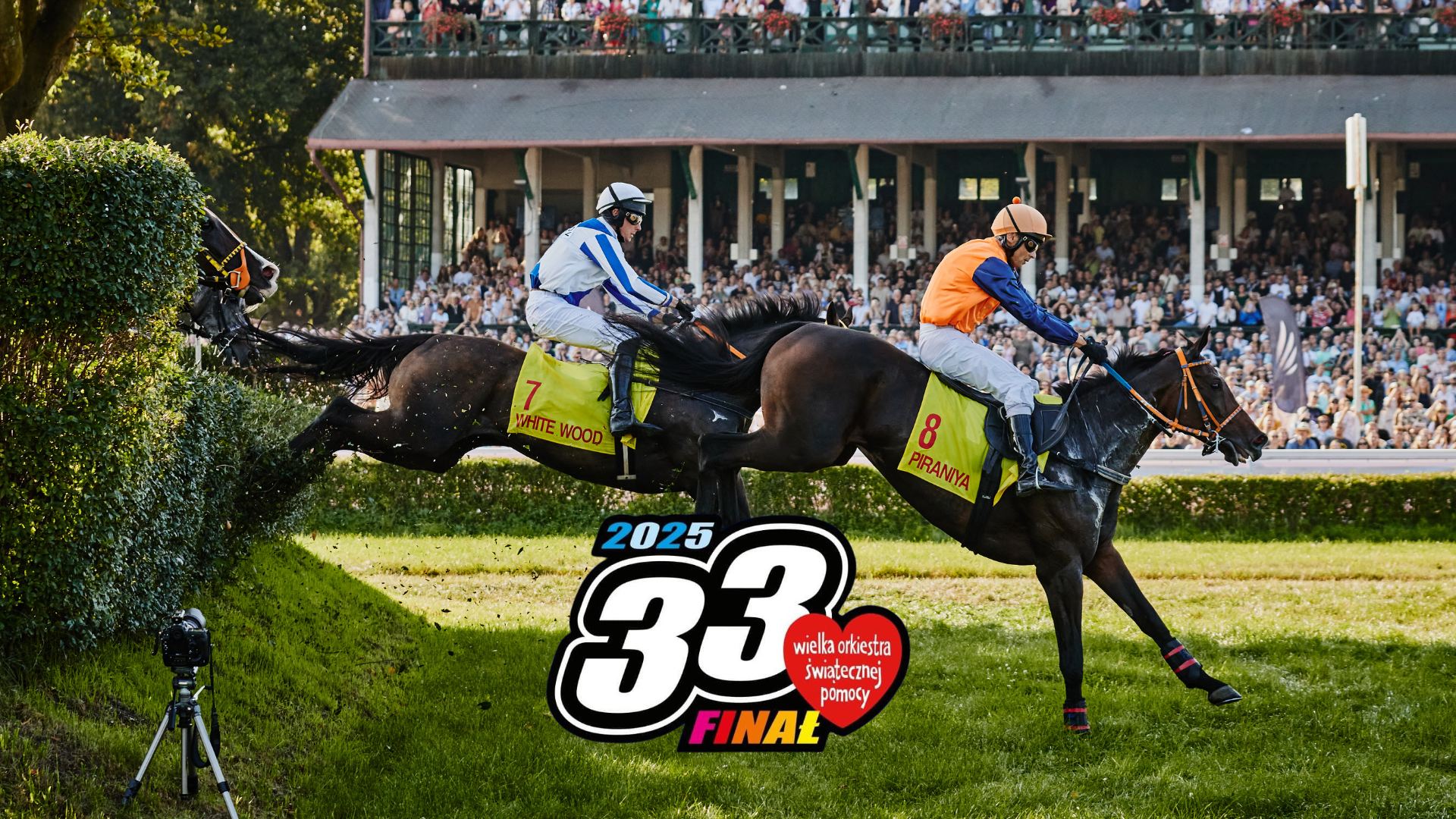 img: Tor Partynice gra razem z WOŚP!