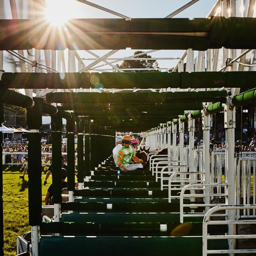 img: Do Dubai World Cup zgłoszeni zostali dwaj ostatni zwycięzcy tej gonitwy