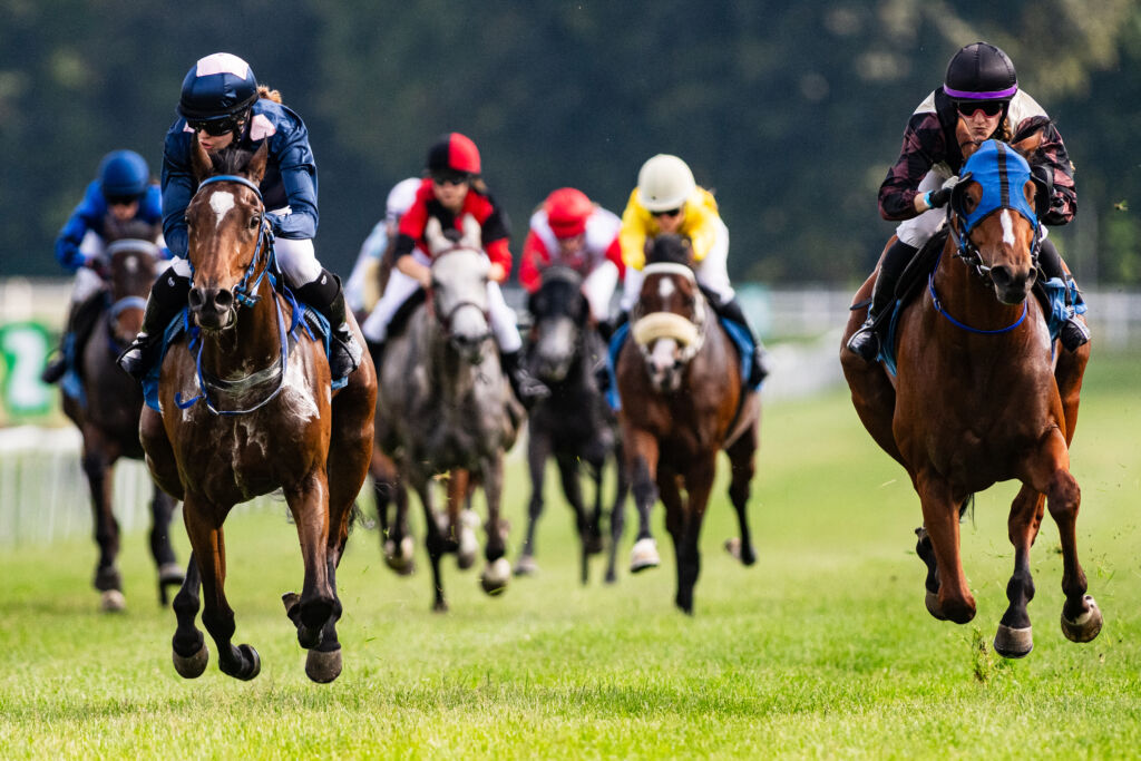 Grupa koni biegnie po zielonej bieżni toru wyścigowego. Prowadzą dwie kobiety, za nimi pozostali jeźdźcy. W tle rozmazane ujęcie na drzewa.
