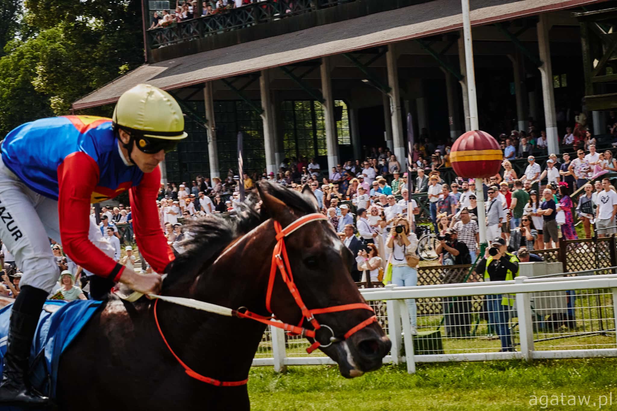 img: Nowy miesiąc, nowe triumfy