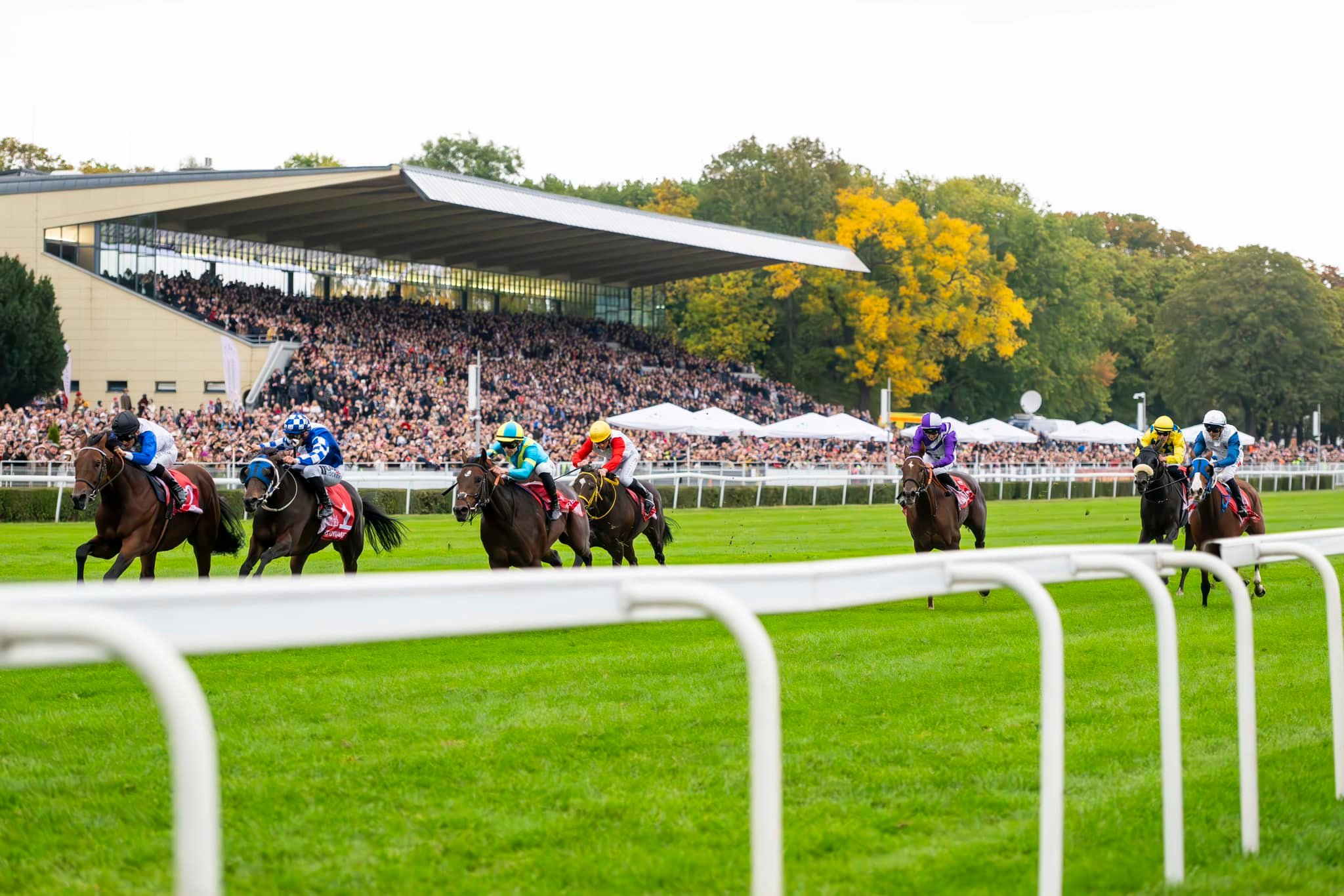 img: Westminster Pilot i Westminster Silver zadebiutują w Pradze