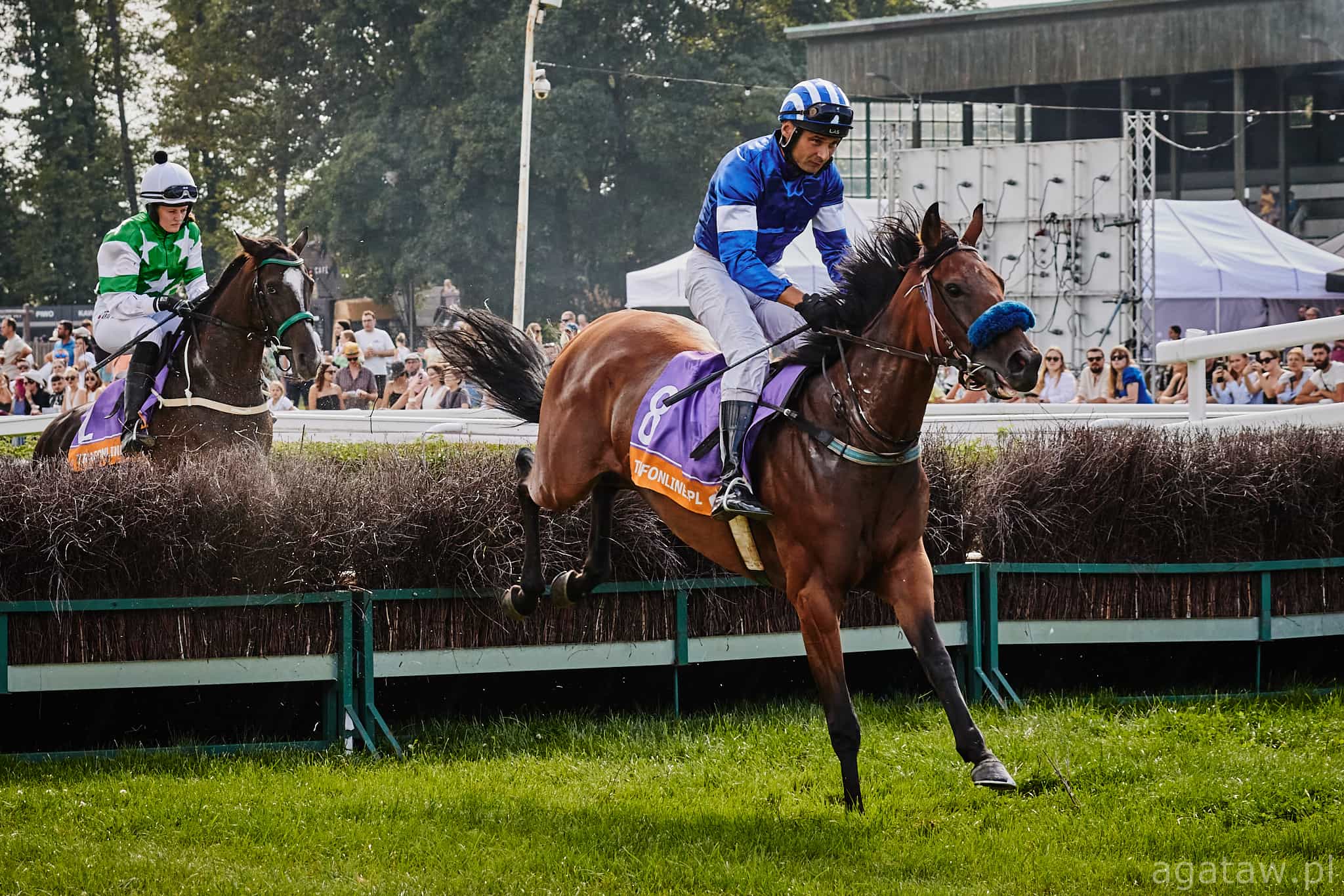 img: Dusseldorf i Pardubice celem koni z Polski