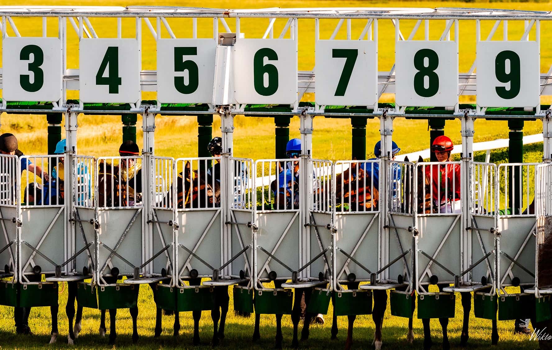 img: Tydzień z zagranicznymi występami koni z polskich stajni