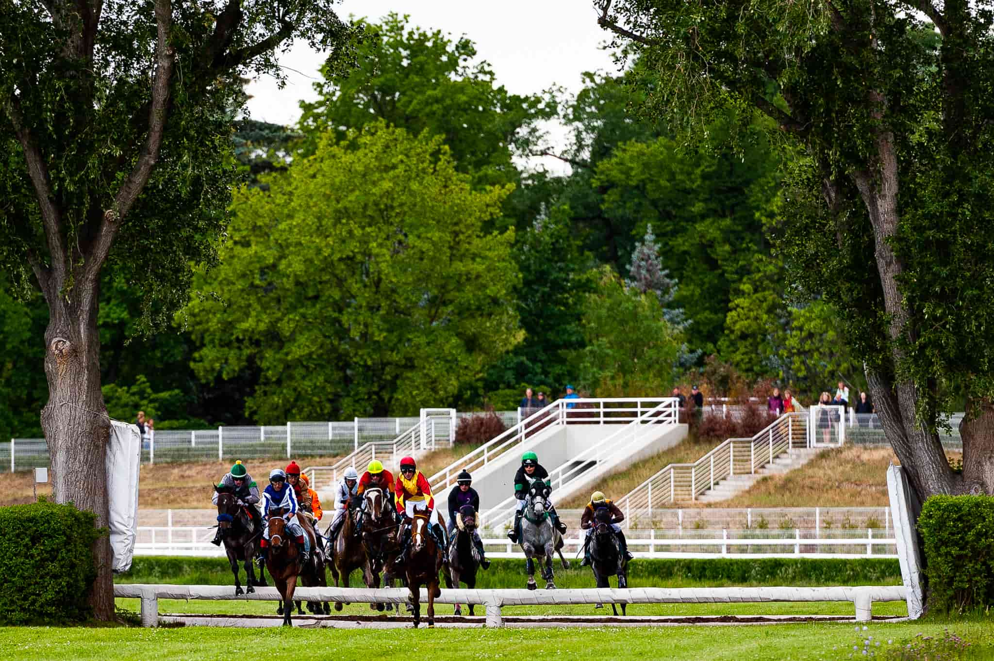 img: Irish Grand National nie dla Mullinsa