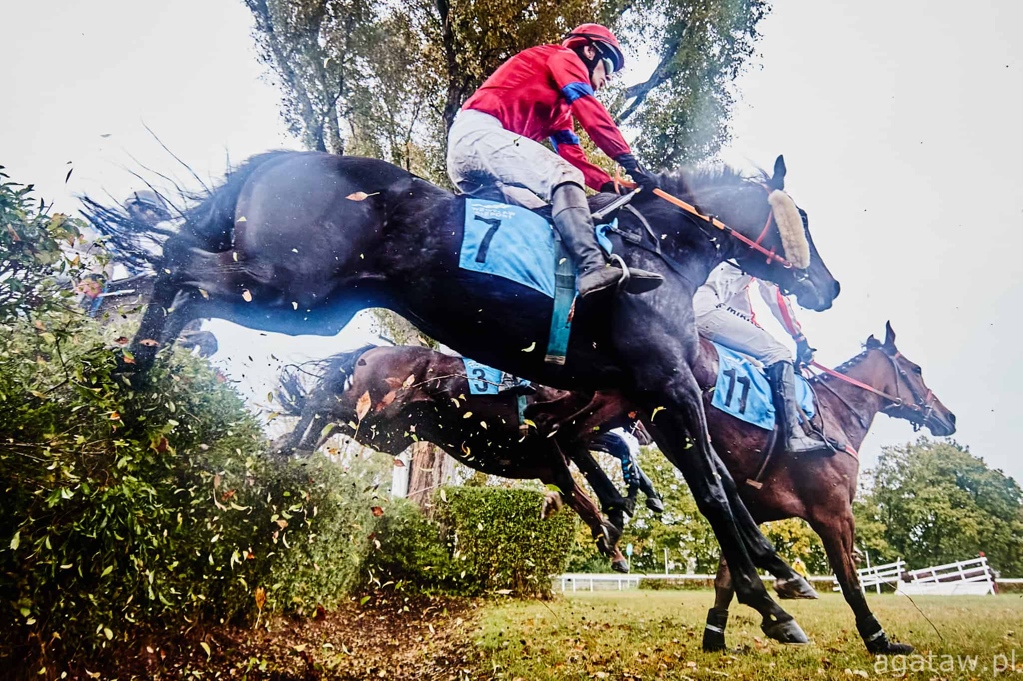 img: Grand National: Czy I Am Maximus znów będzie wielki?