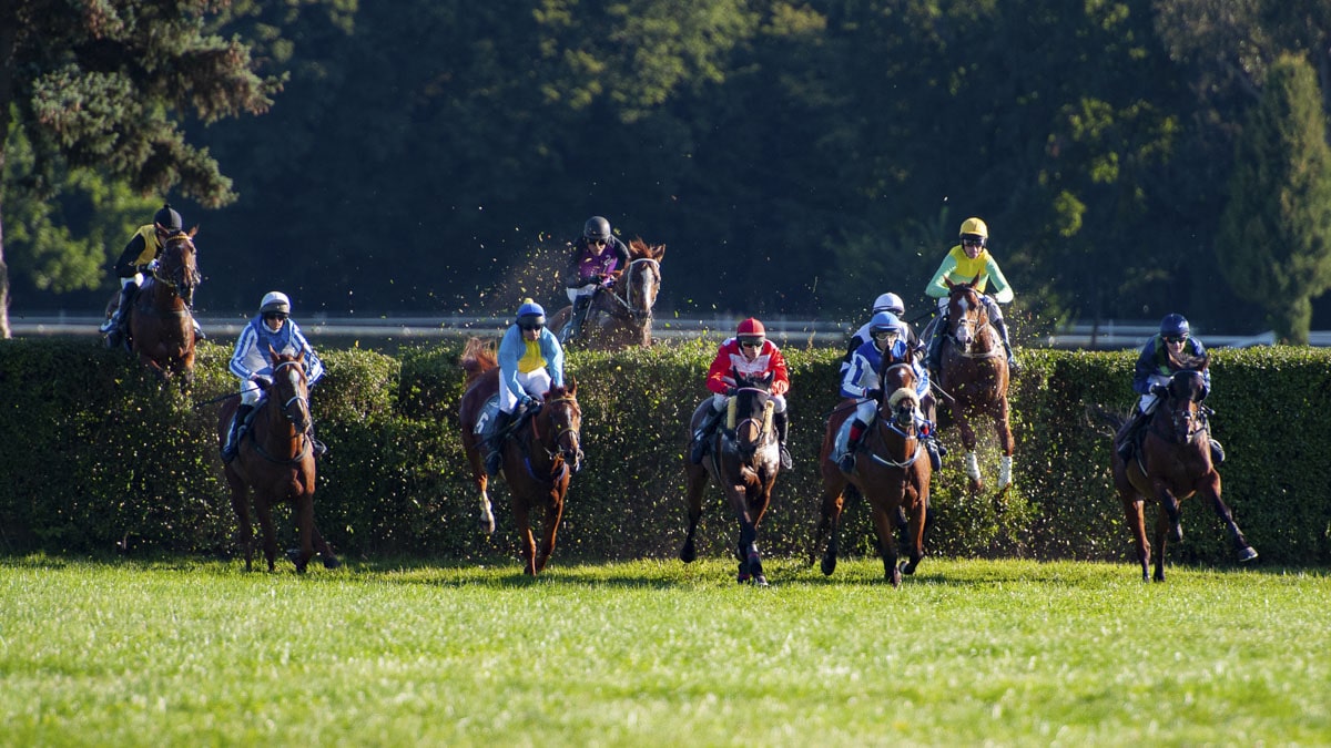 img: Grand National wygrał Nick Rockett jeździecko-trenerskiego duetu syn i ojciec
