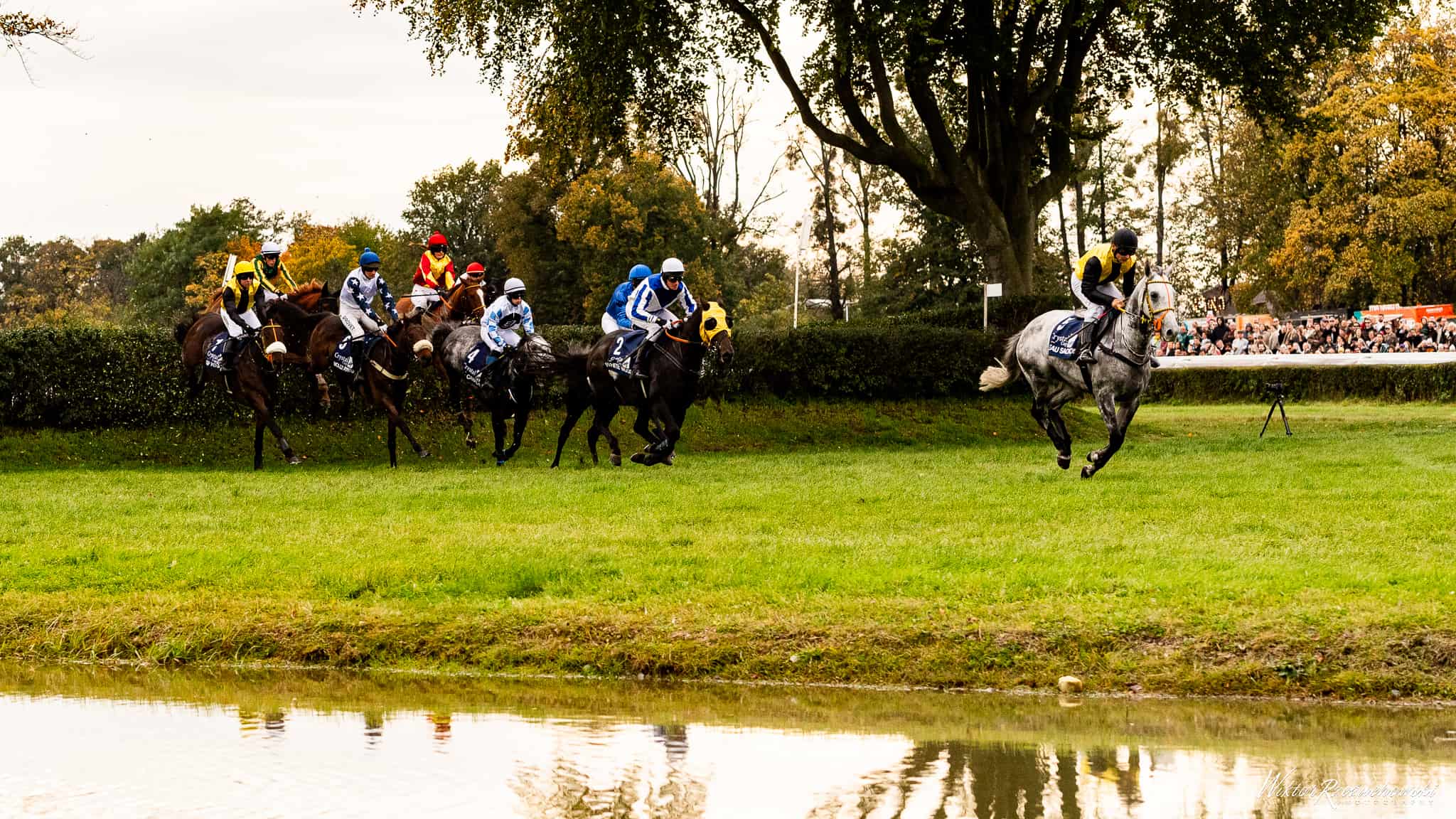 img: Scottish Grand National: I znów Willie Mullins