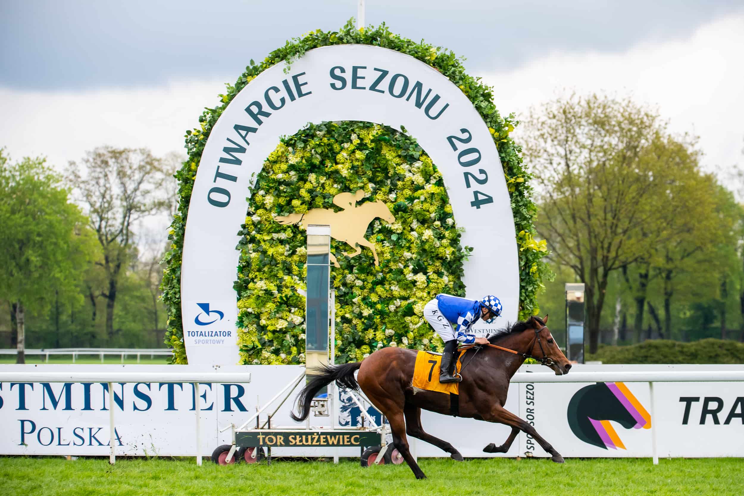 img: Polski wicederbista lepszy od niemieckiego