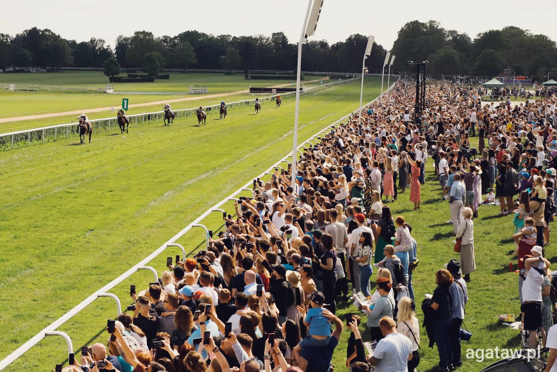 img: Shamadram otwiera listę zwycięzców sezonu 2025