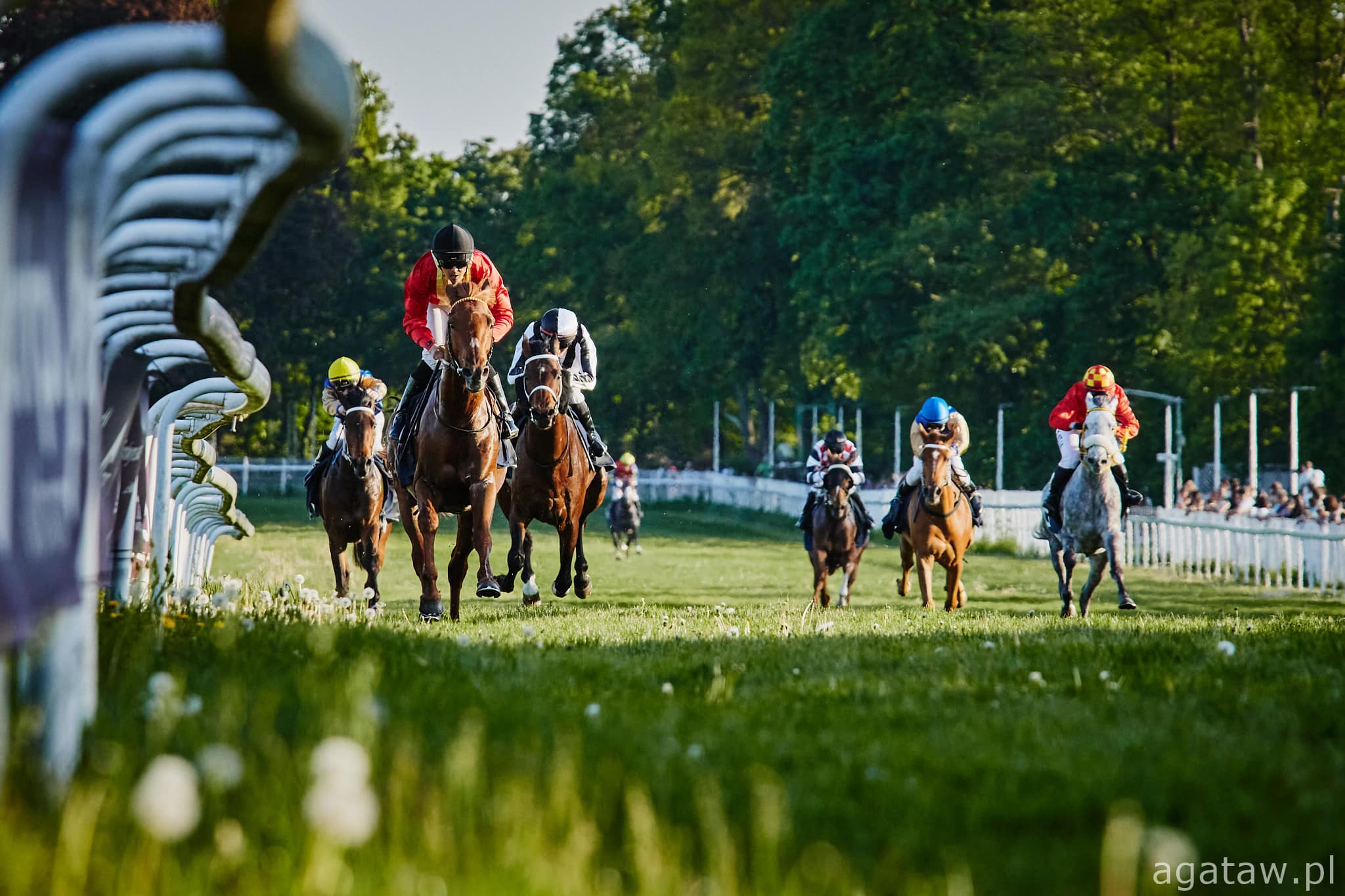 img: Nabiera tempa rywalizacja w czempionacie młodych jeźdźców