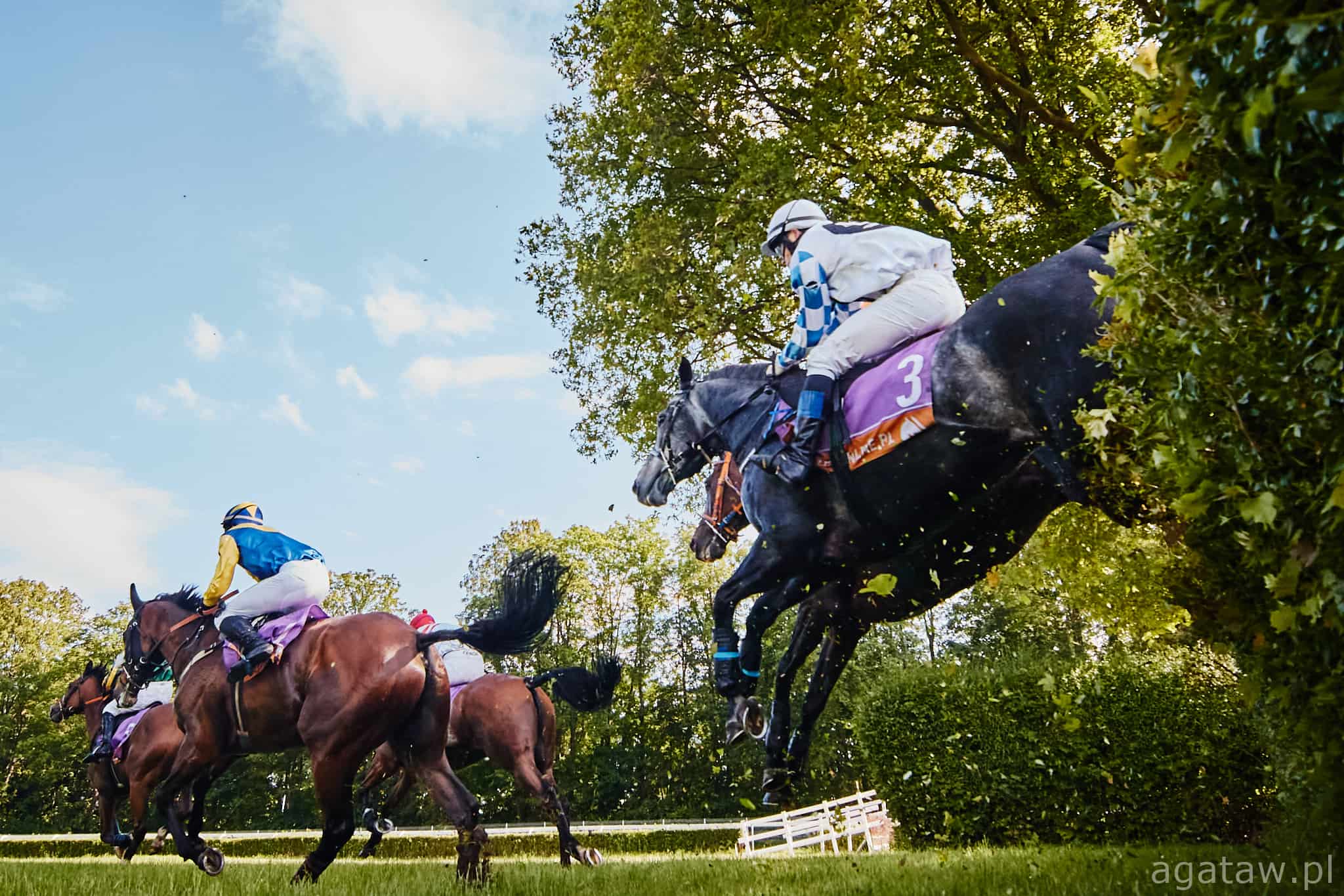 img: Diamond Carl wygrał Grand Steeple-Chase de Paris, faworyt piąty