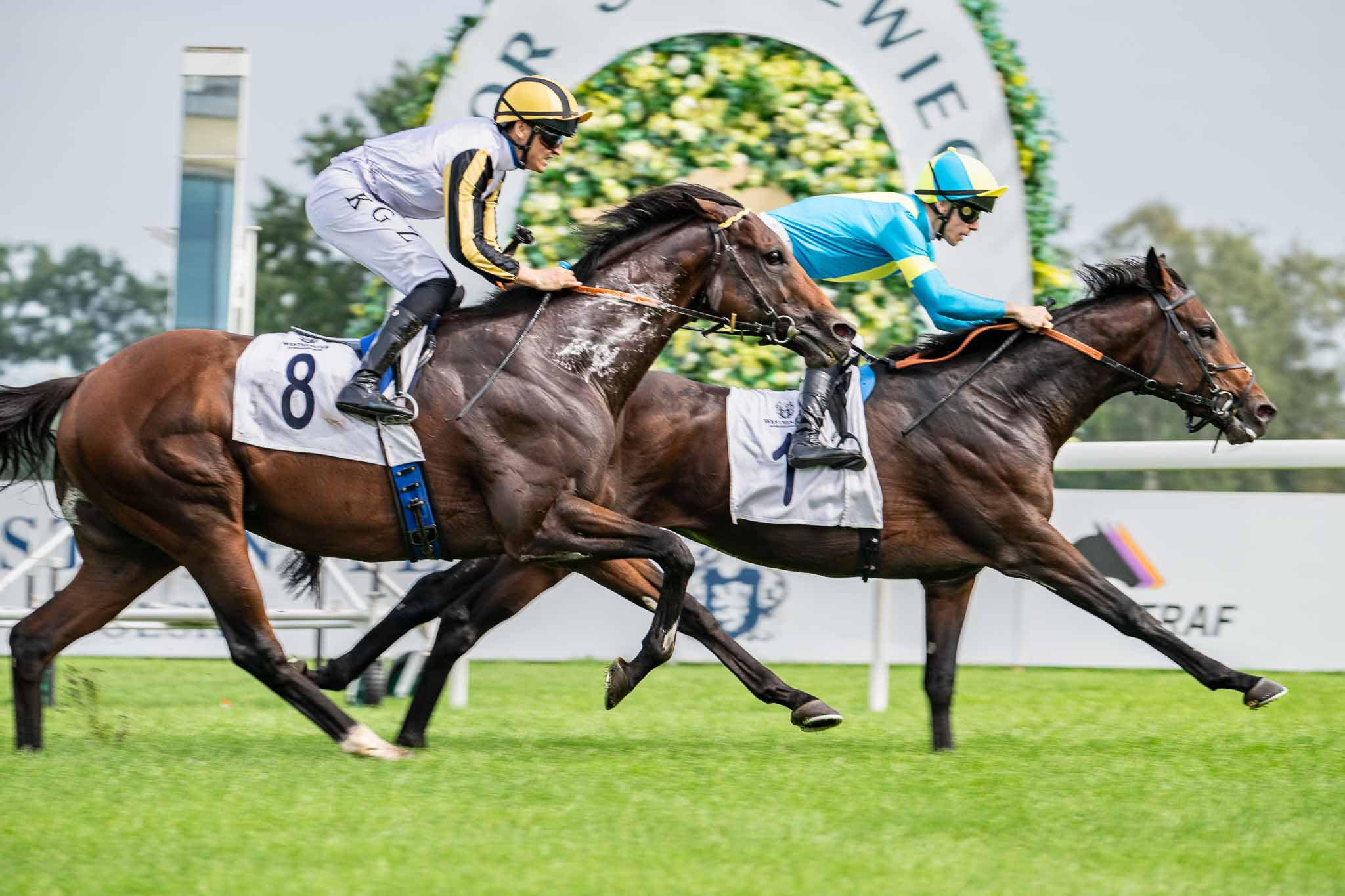 img: Bremen piąty w G3 na San Siro