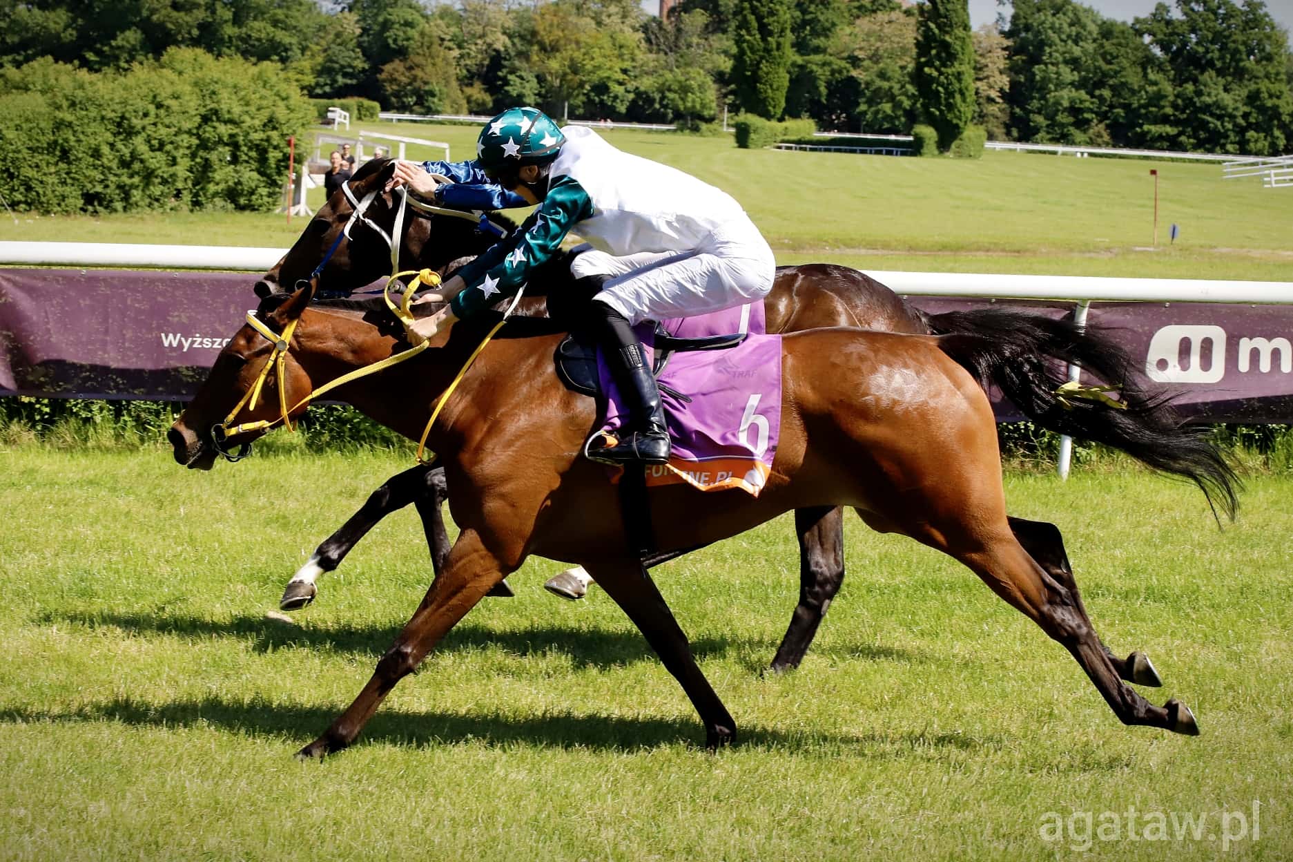 img: Zwycięstwo jak z bajki