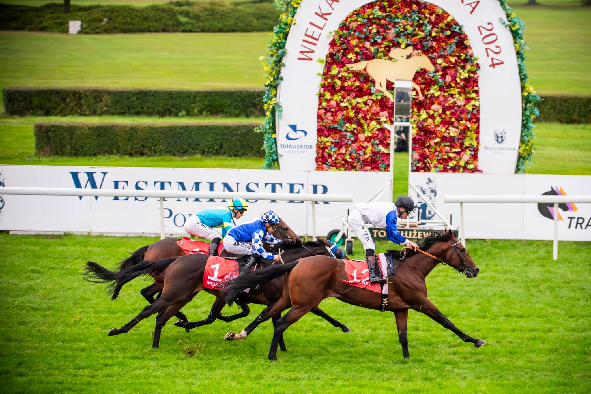 img: Miss Dynamite wystartuje na Longchamp!